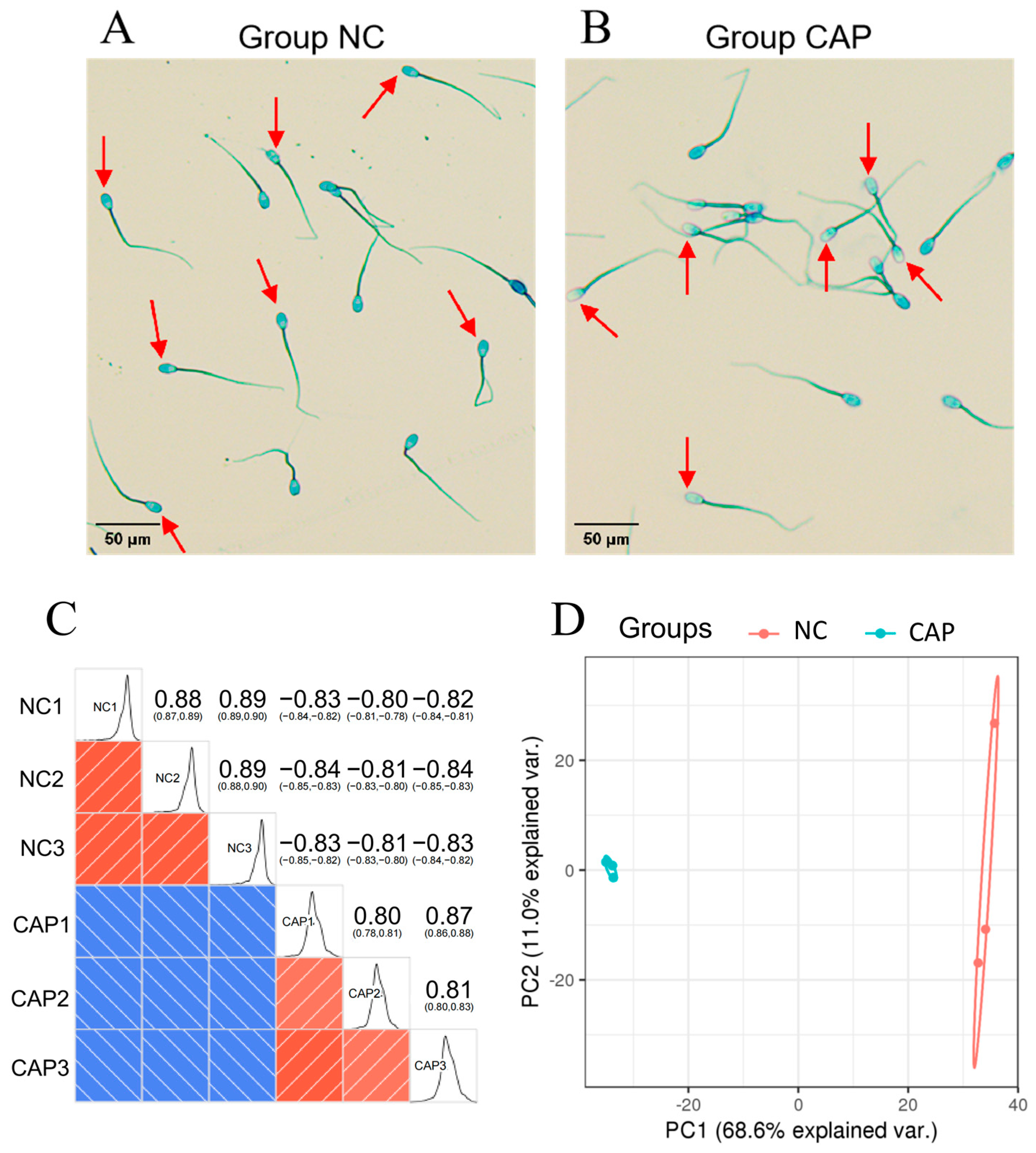 Animals 14 02363 g001