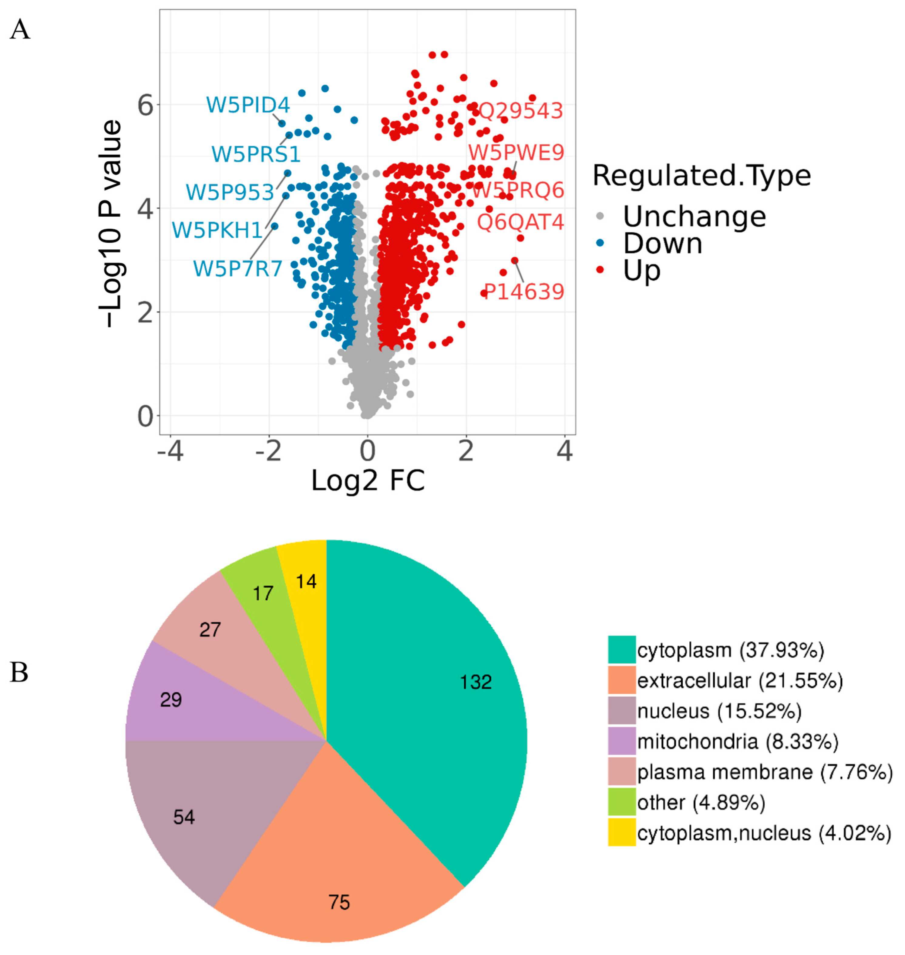 Animals 14 02363 g002