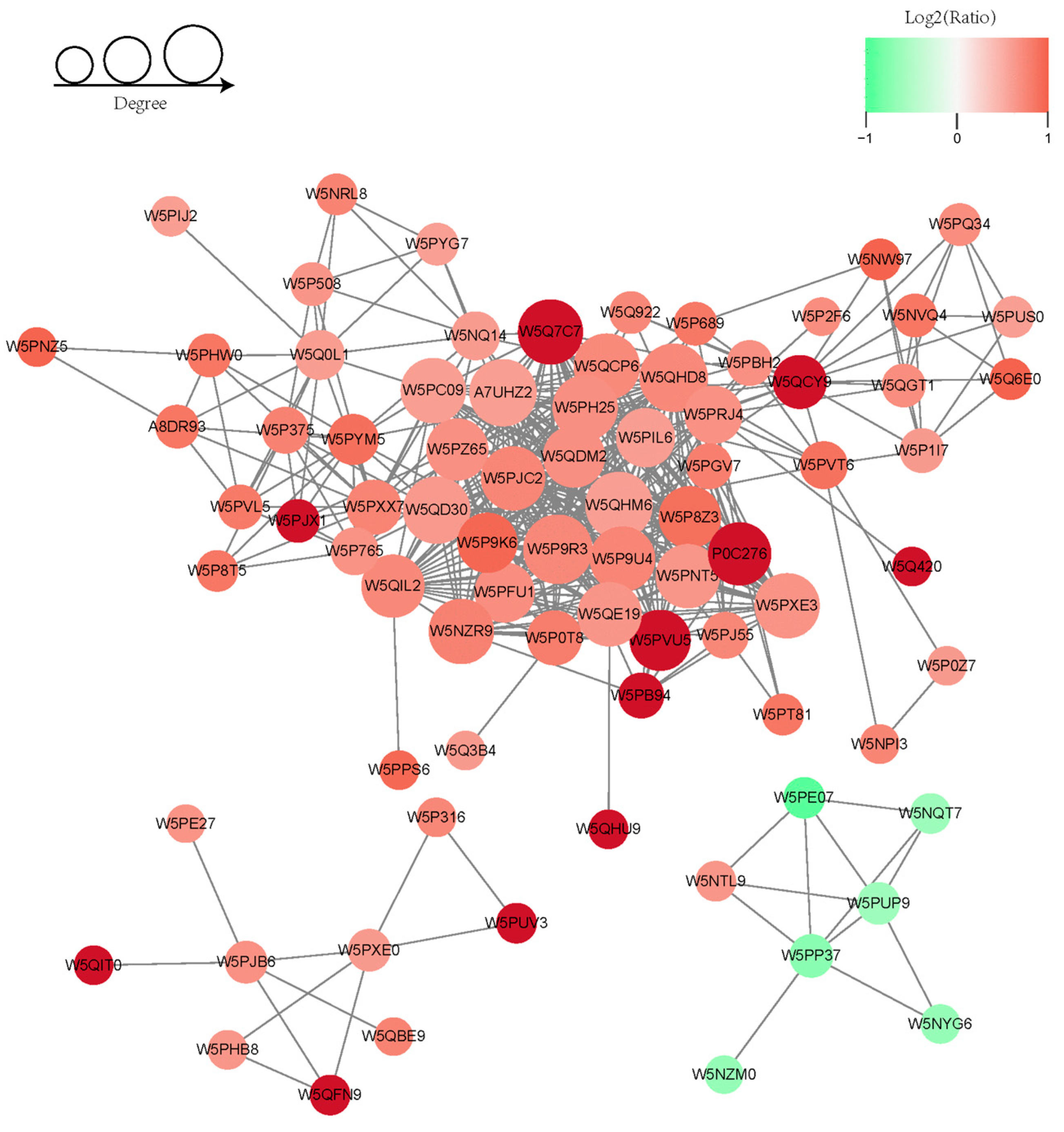 Animals 14 02363 g005