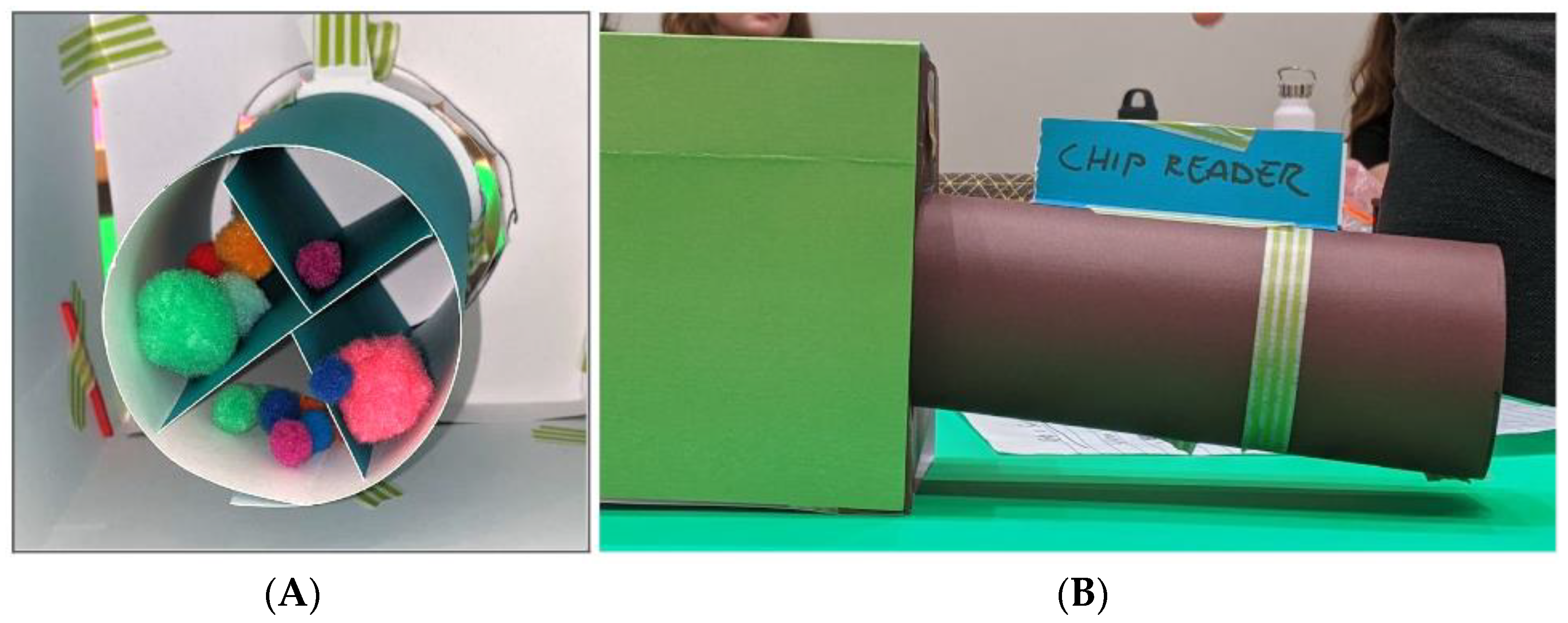 Animals 14 02378 g003