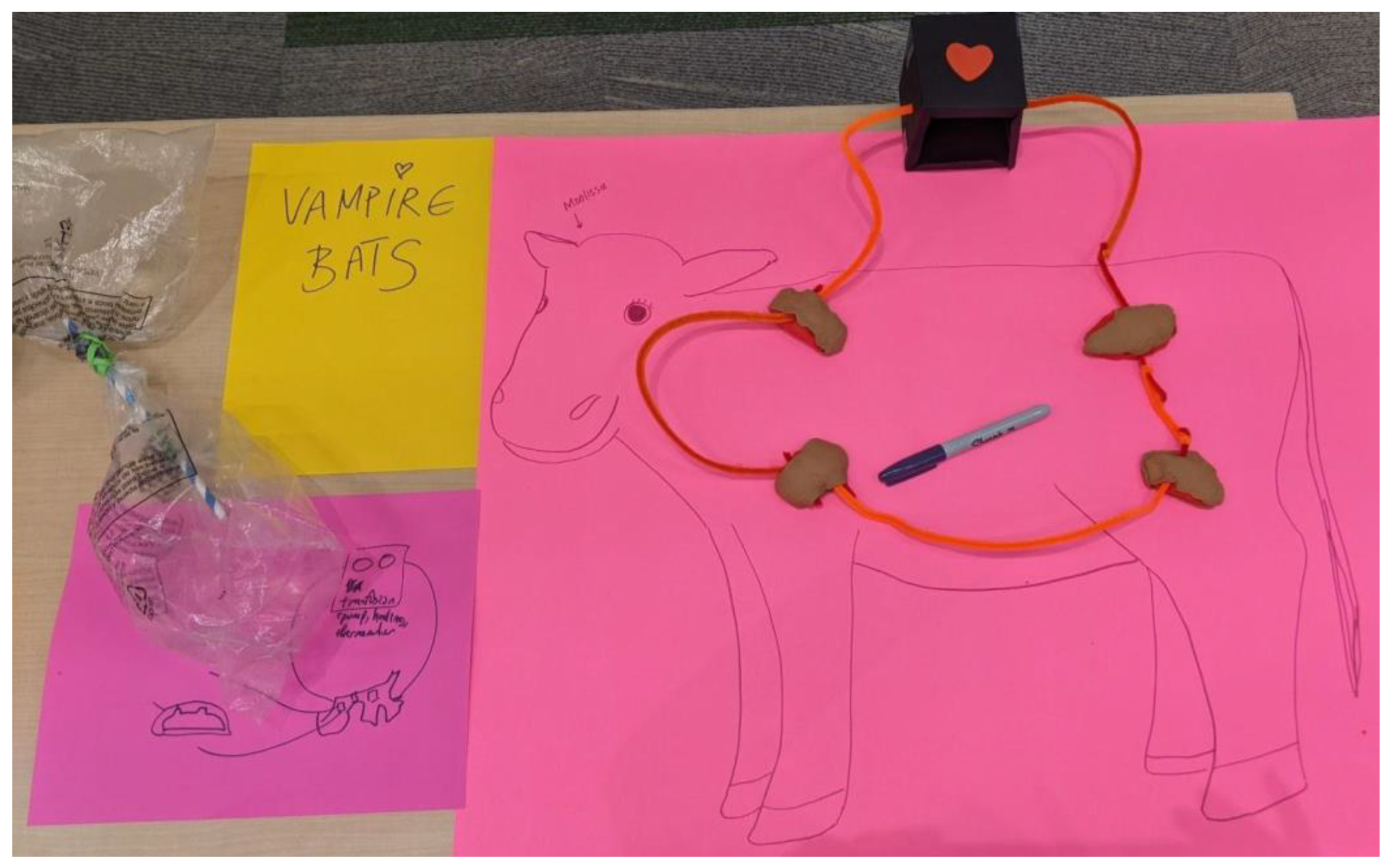 Animals 14 02378 g005