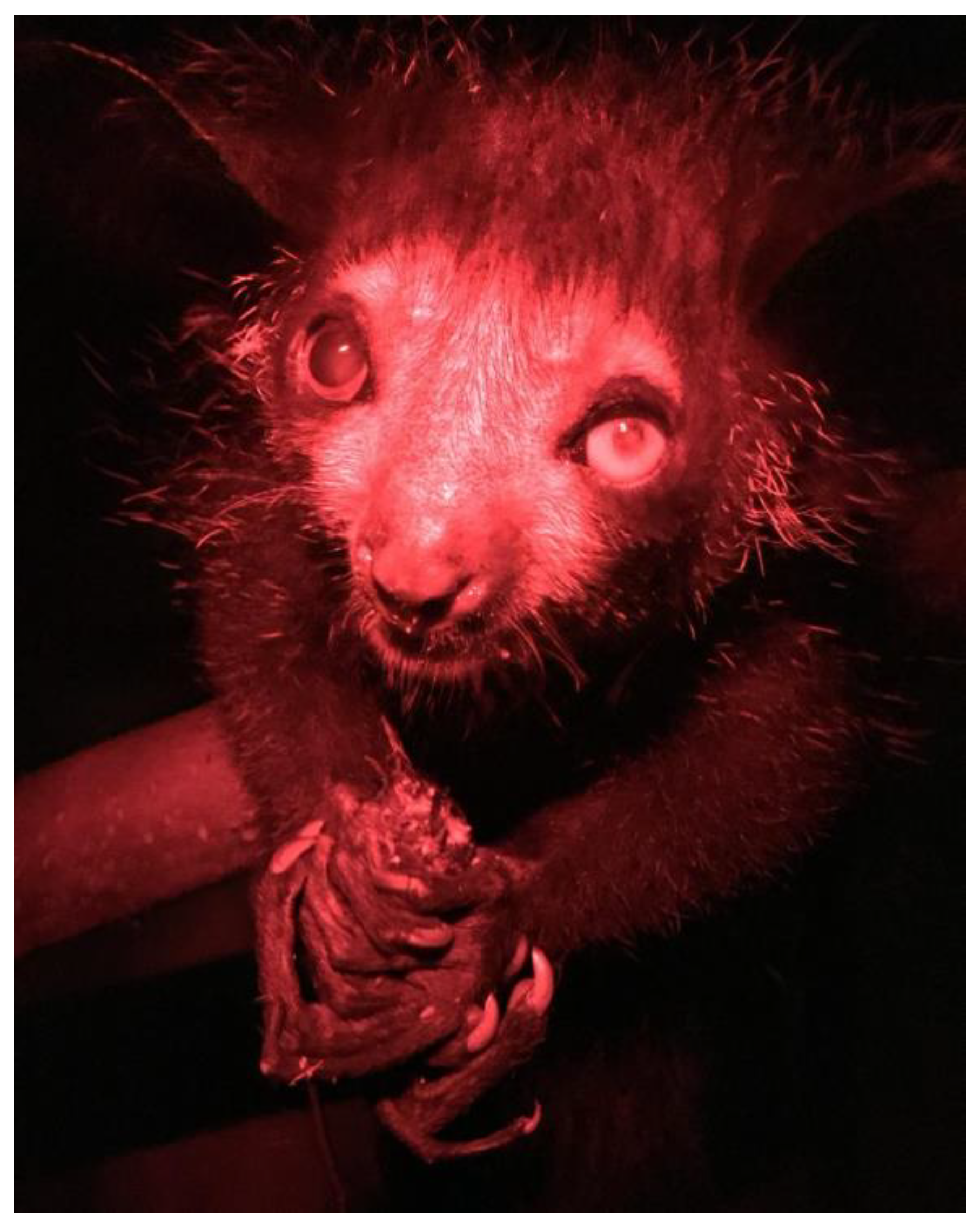 Animals 14 02378 g007