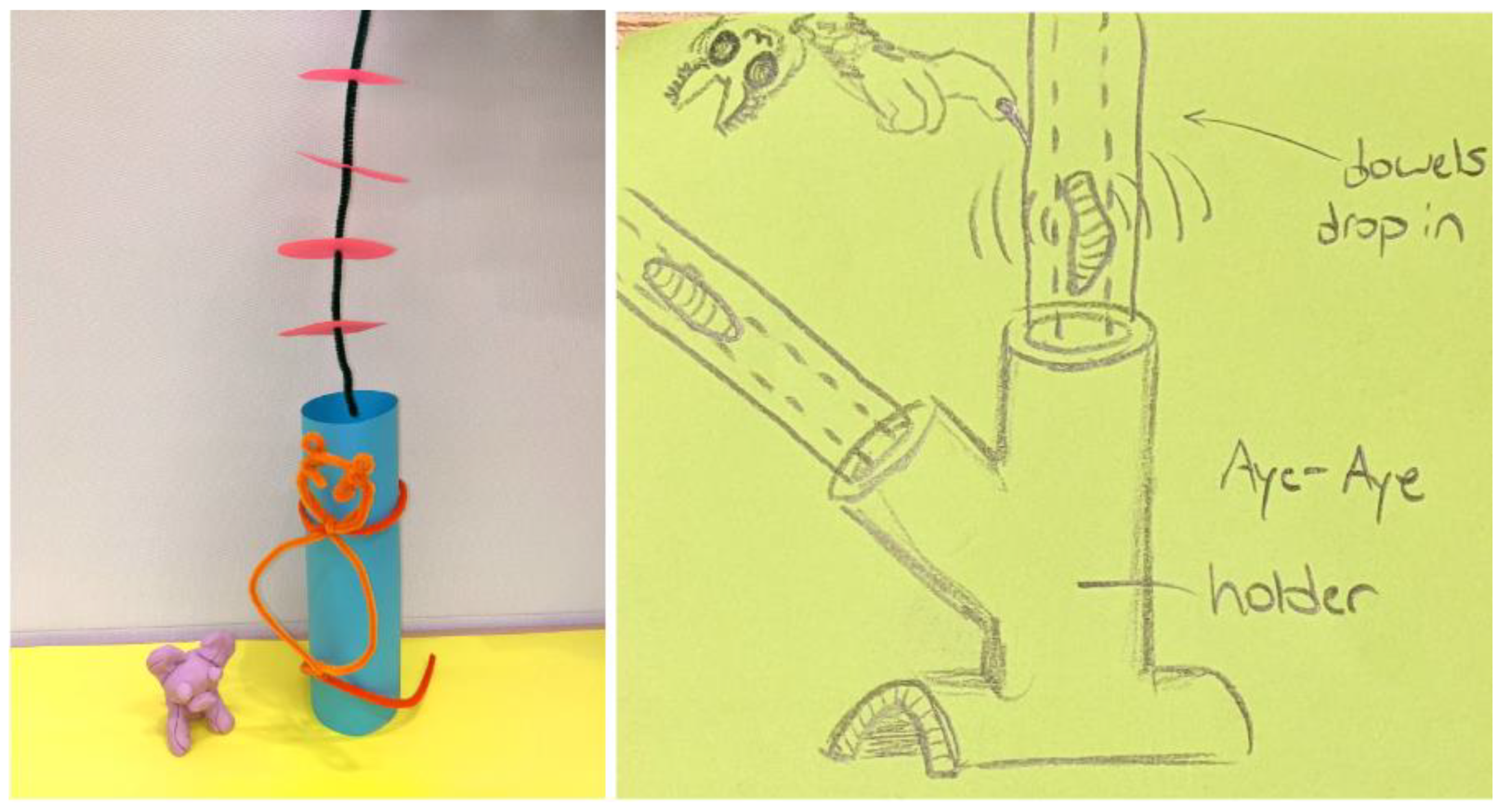 Animals 14 02378 g008