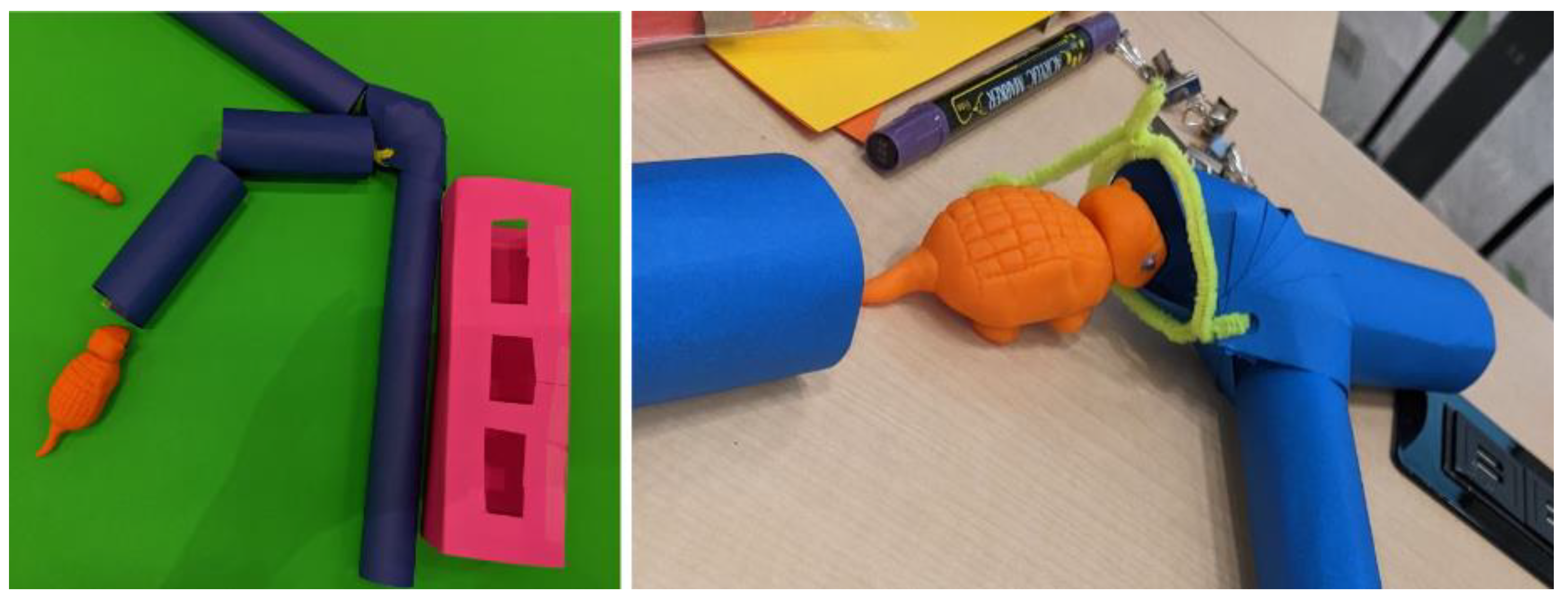 Animals 14 02378 g011