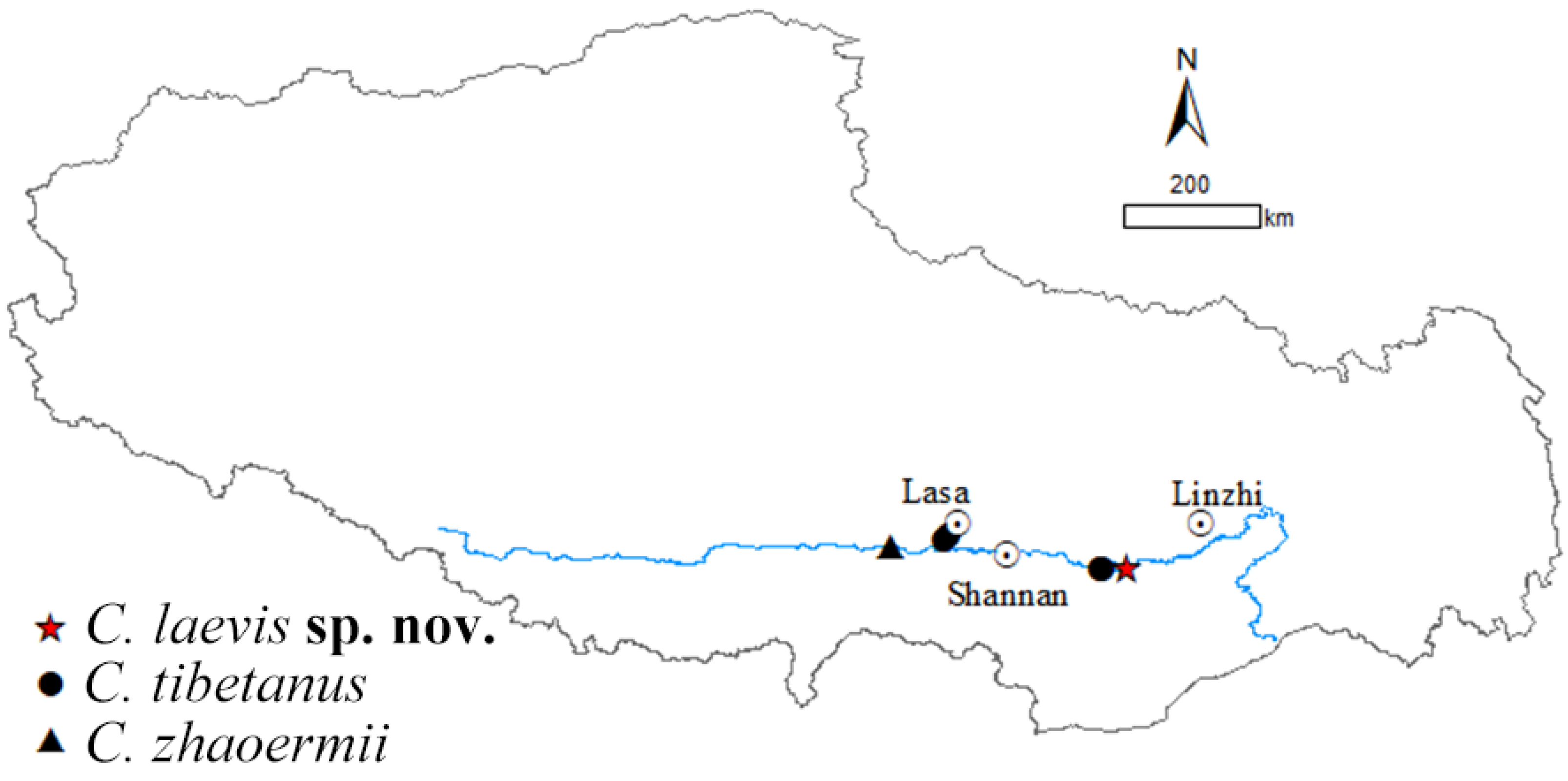 Animals 14 02384 g001