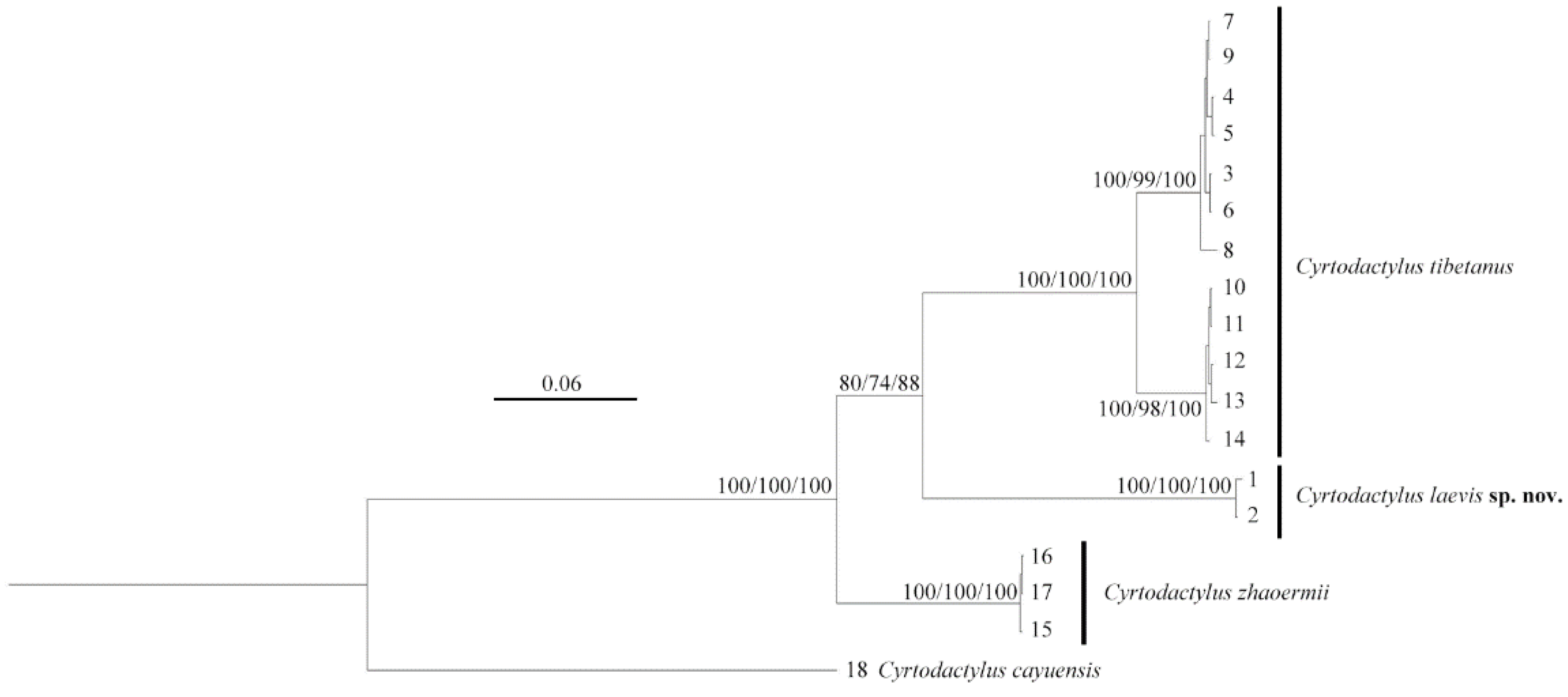 Animals 14 02384 g002