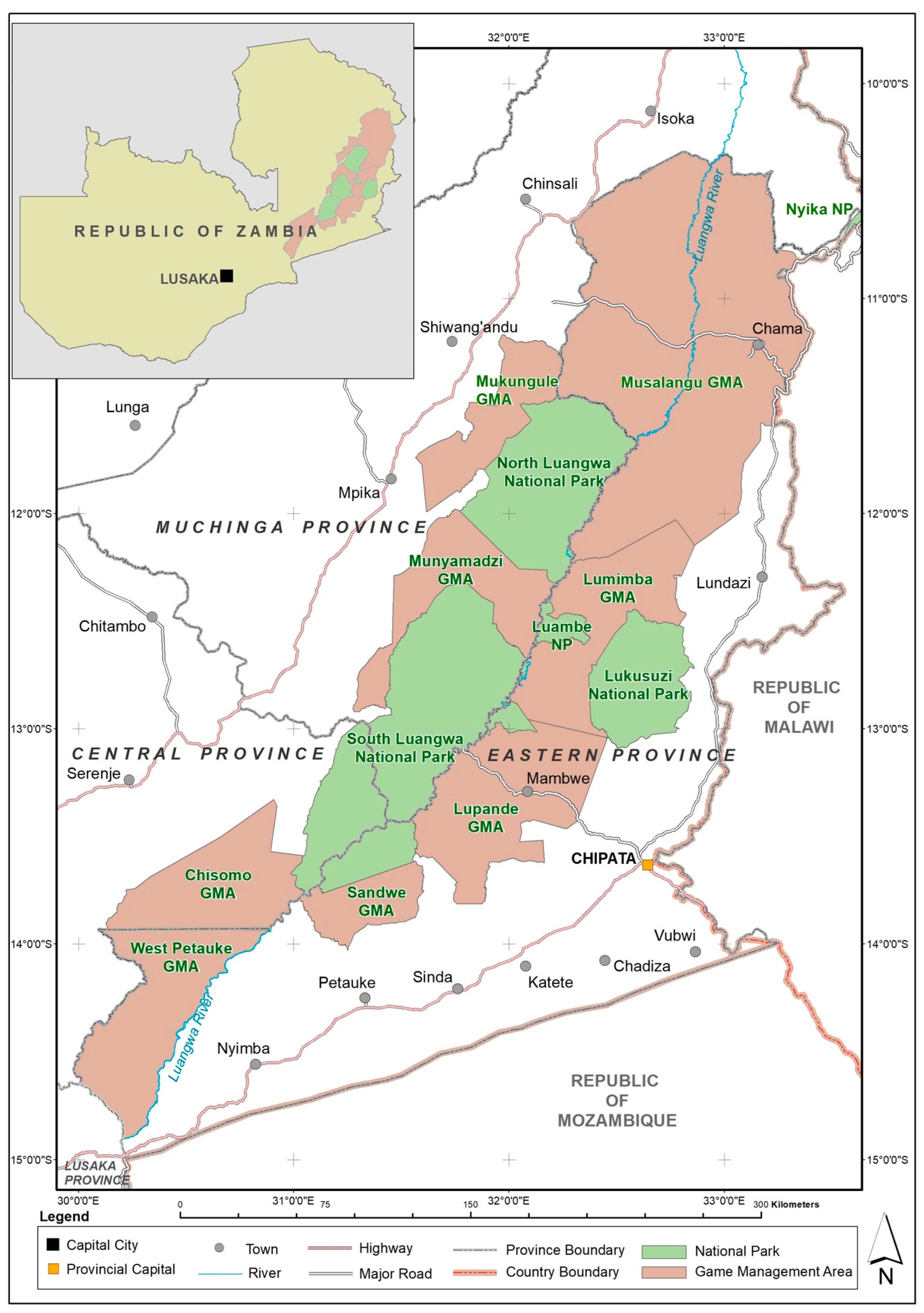 Animals 14 02401 g001