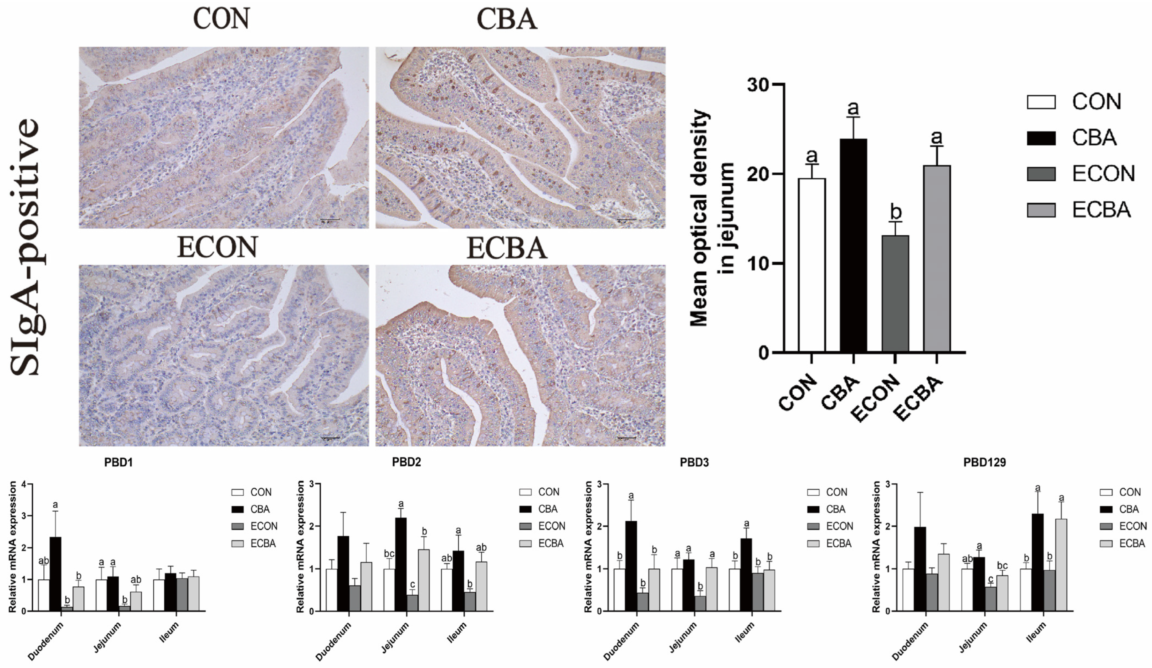 Animals 14 02405 g003