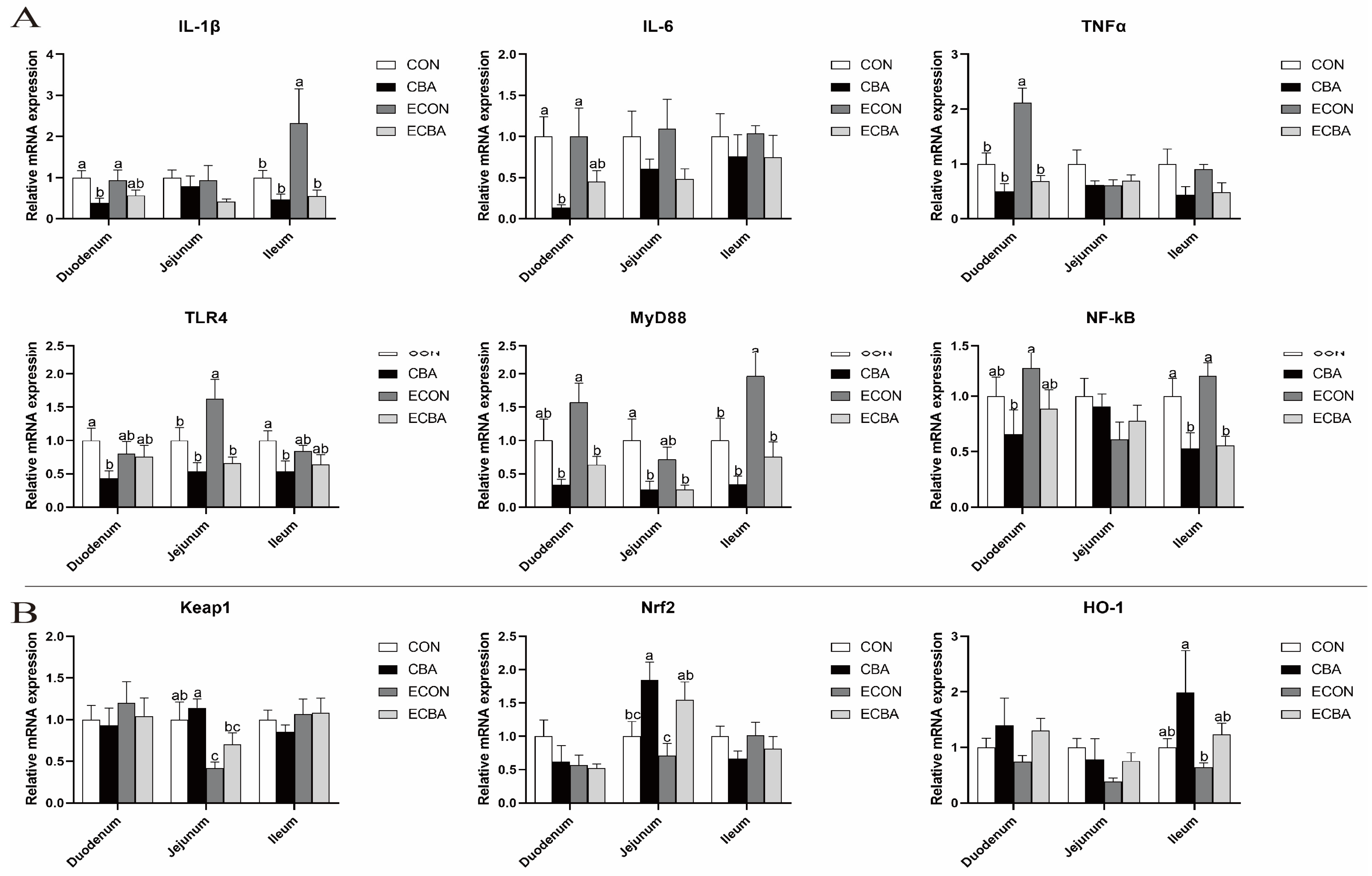 Animals 14 02405 g004