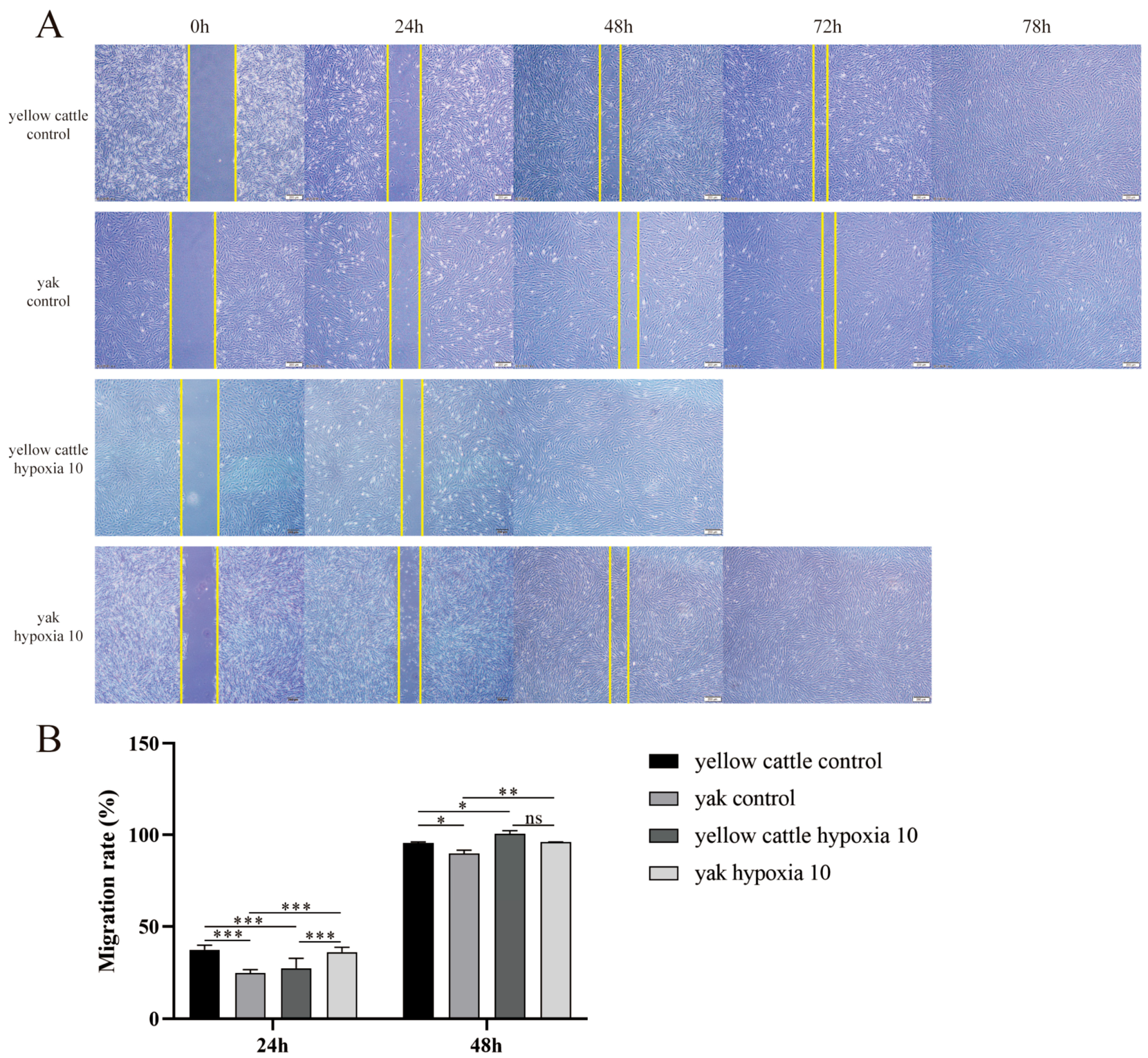 Animals 14 02422 g008