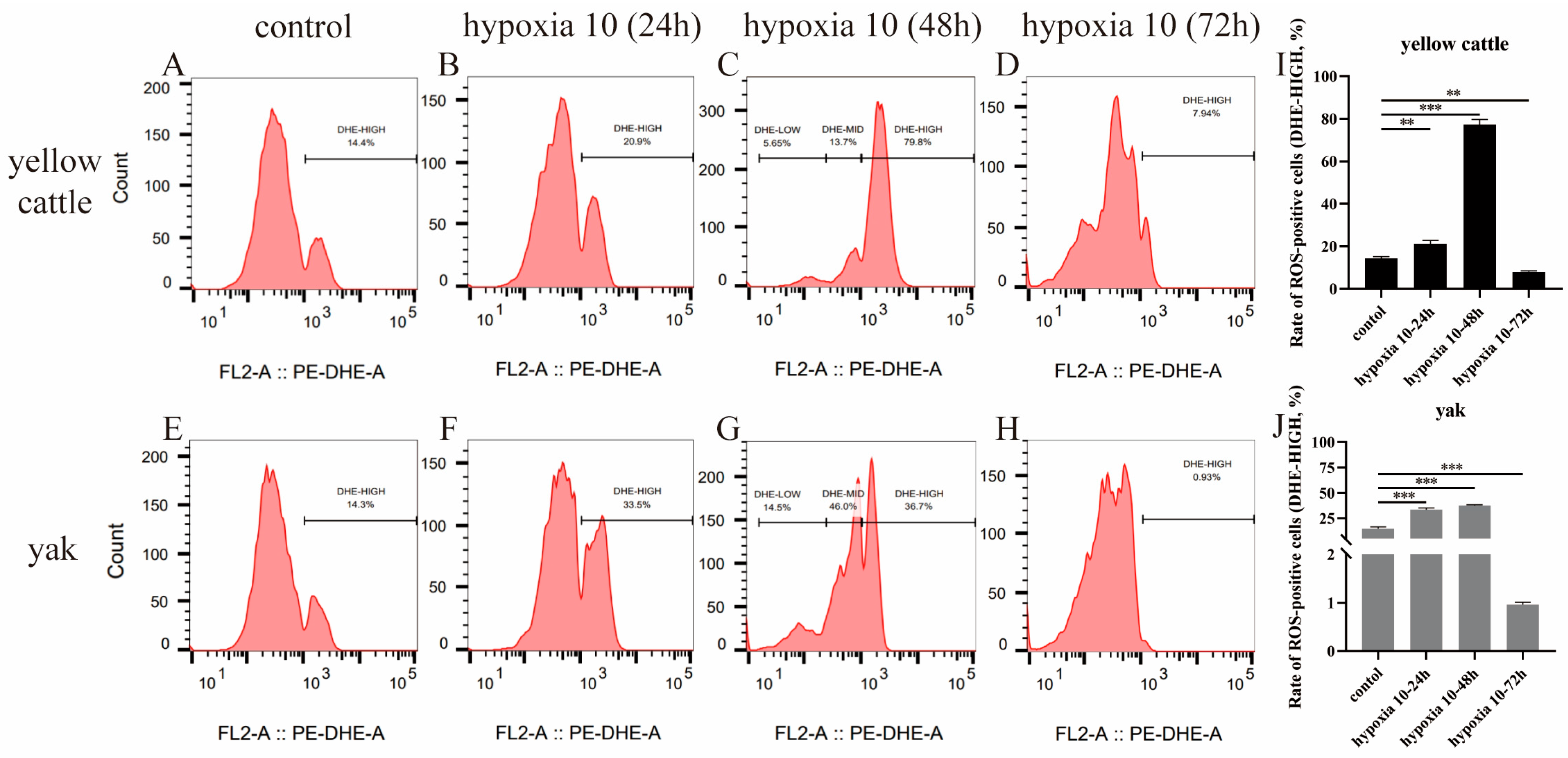 Animals 14 02422 g012