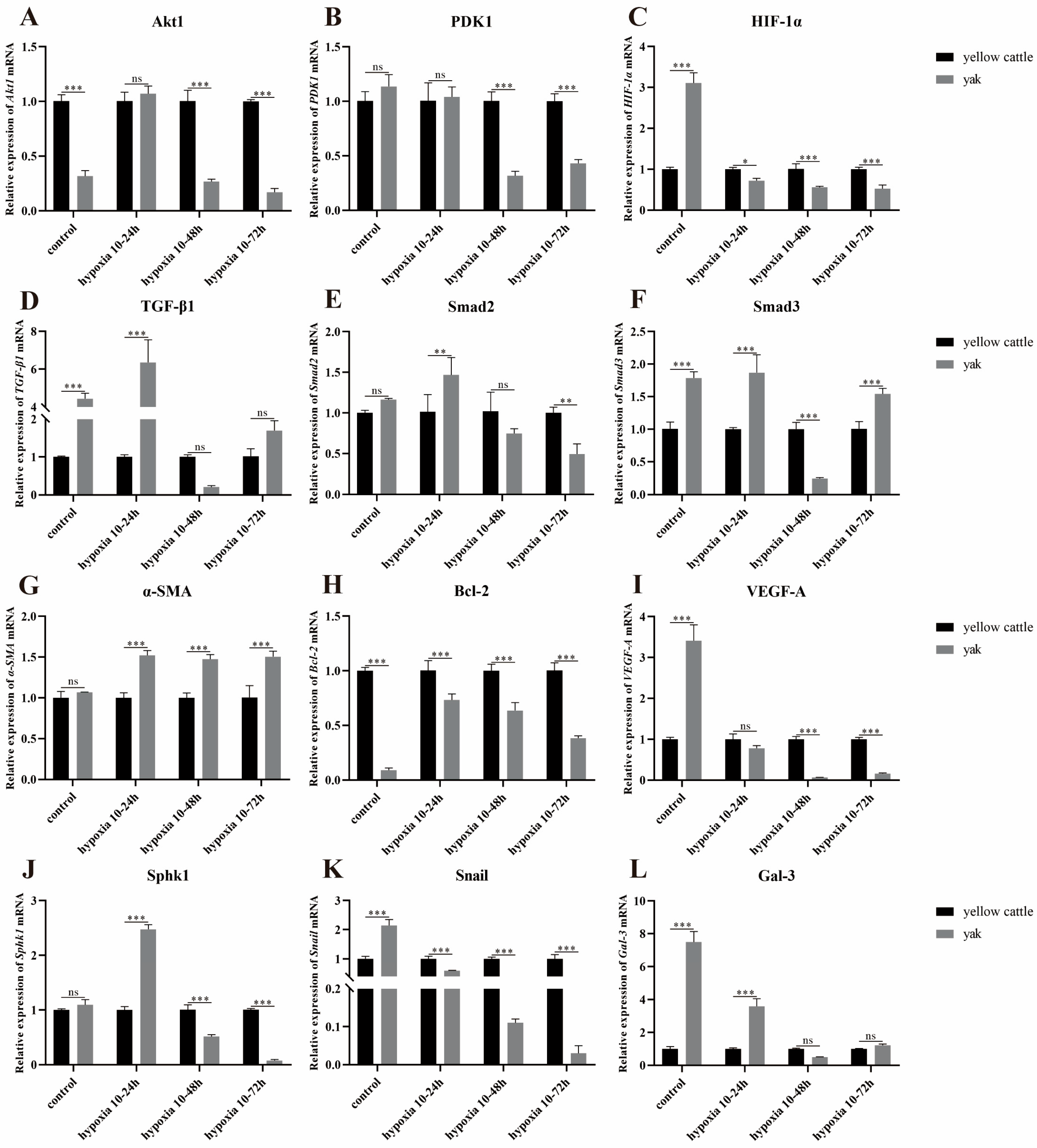 Animals 14 02422 g014