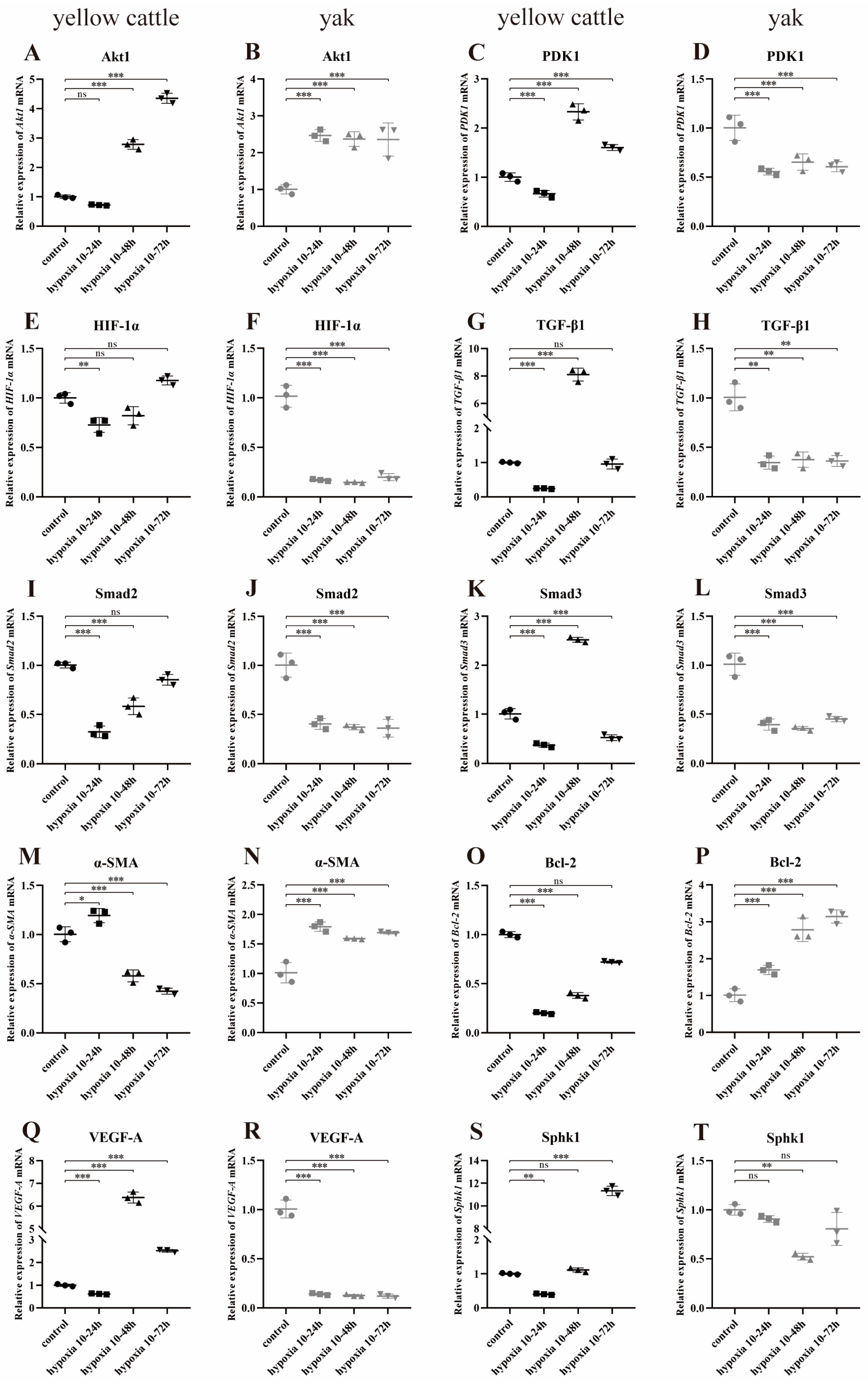 Animals 14 02422 g015a