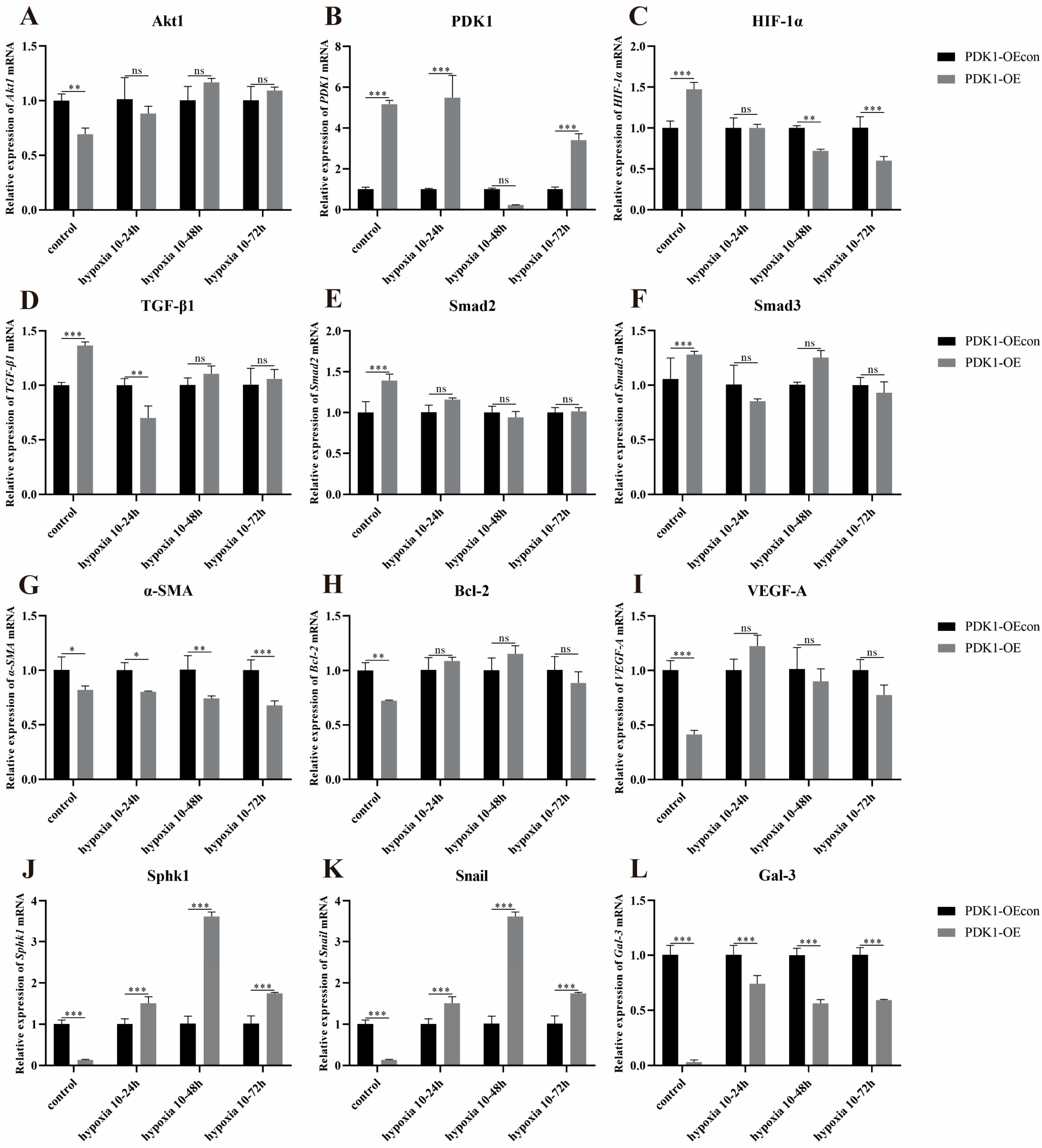 Animals 14 02422 g016