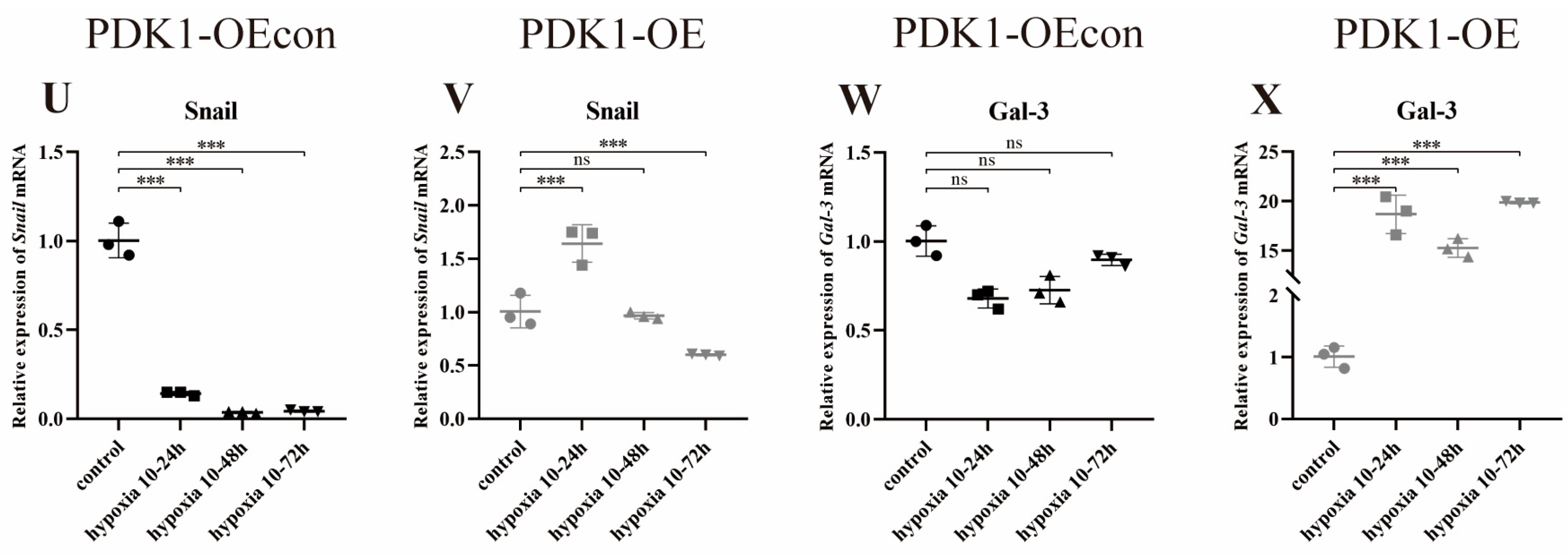 Animals 14 02422 g017b