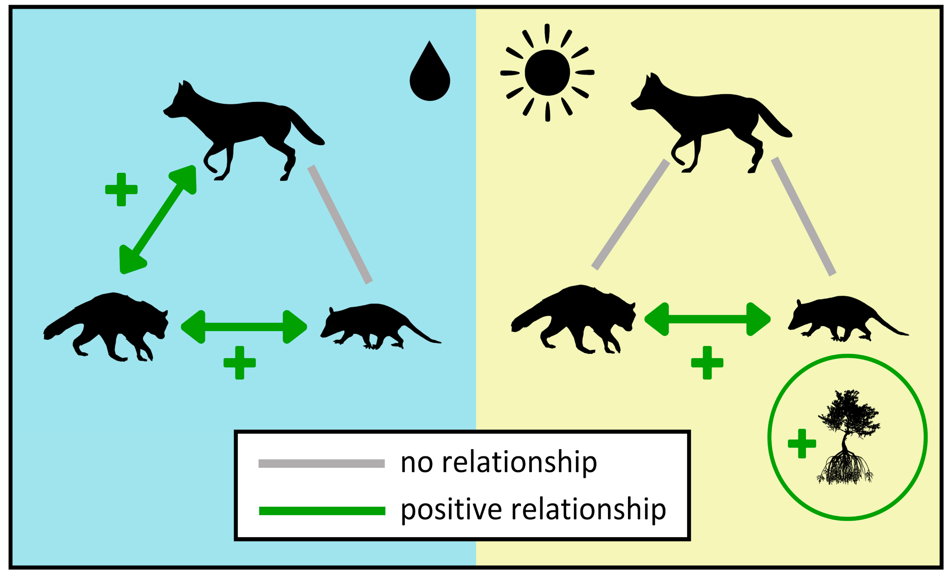 Animals 14 02431 g003