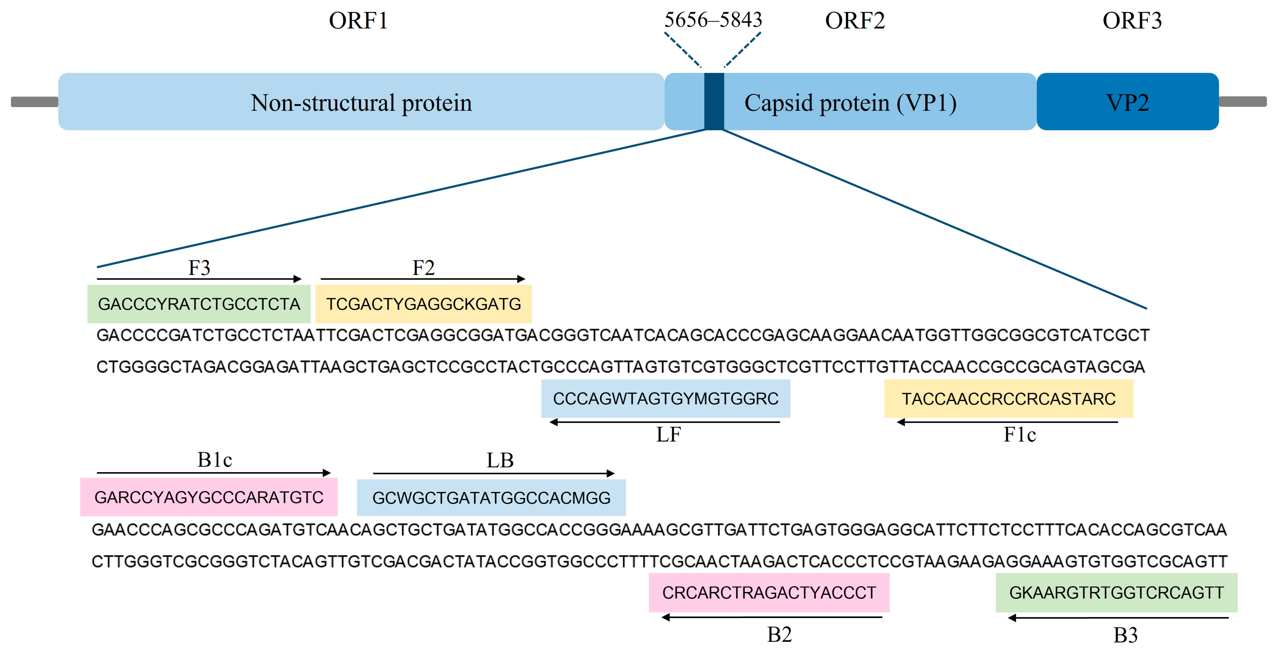 Animals 14 02432 g001