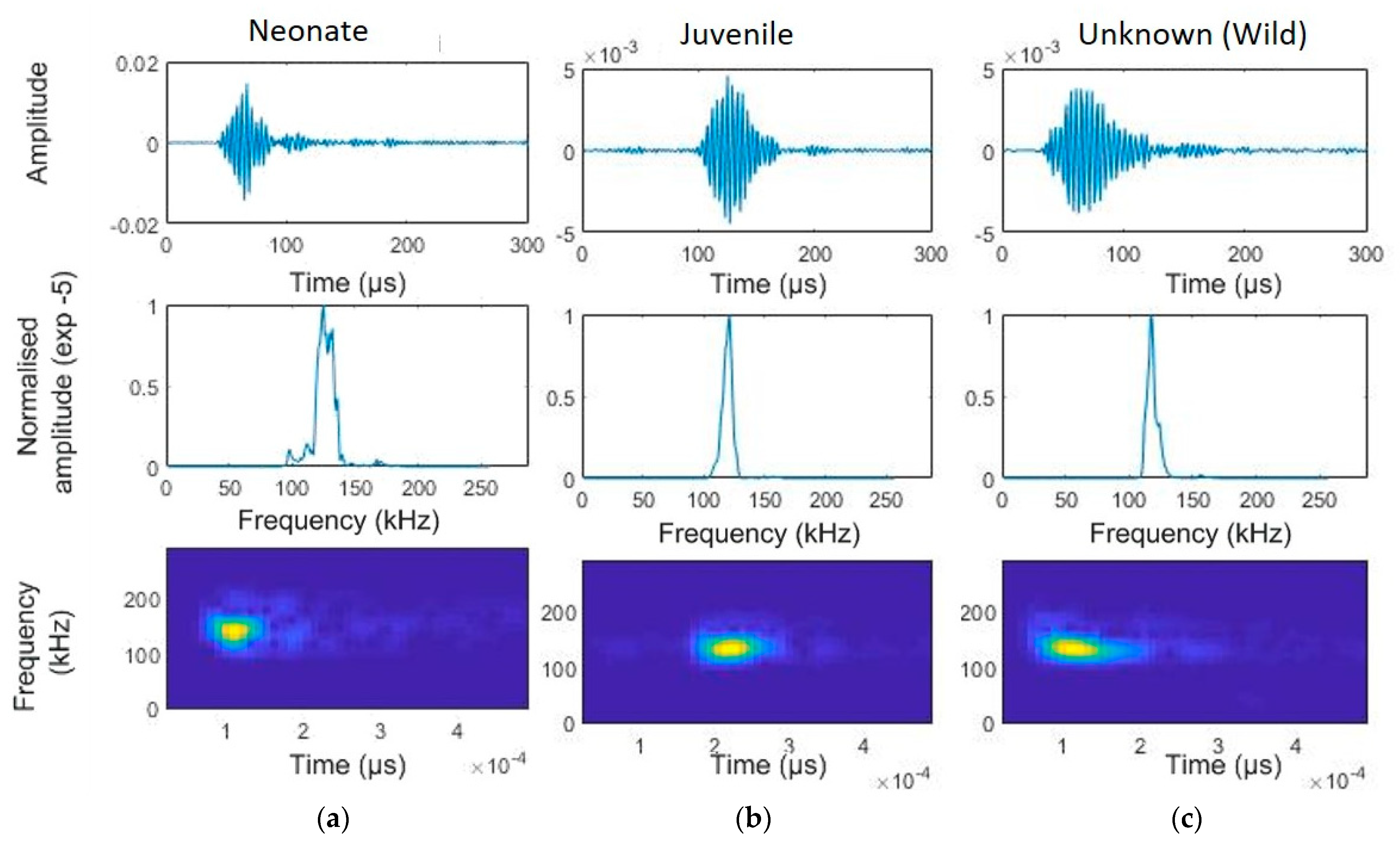 Animals 14 02436 g003