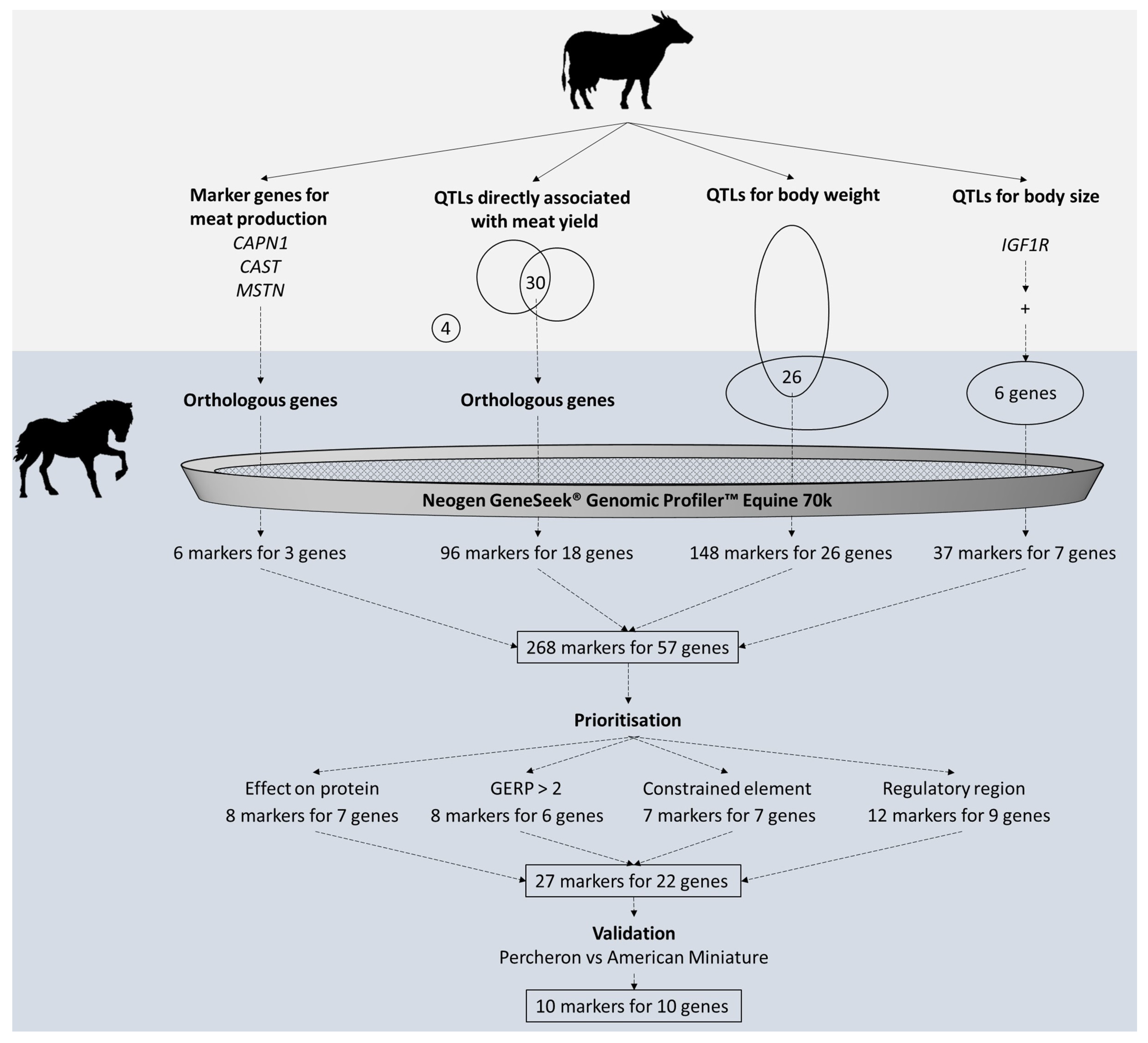 Animals 14 02441 g003