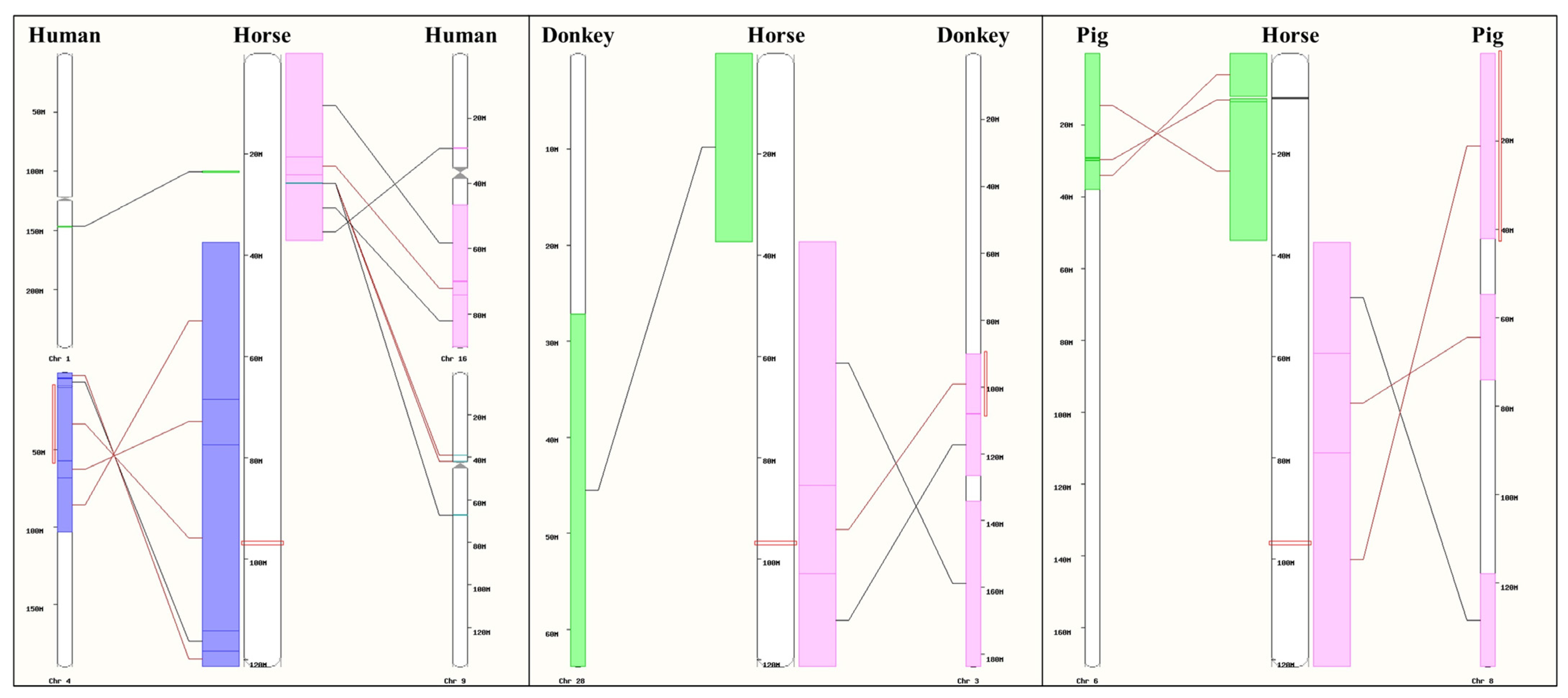 Animals 14 02441 g004