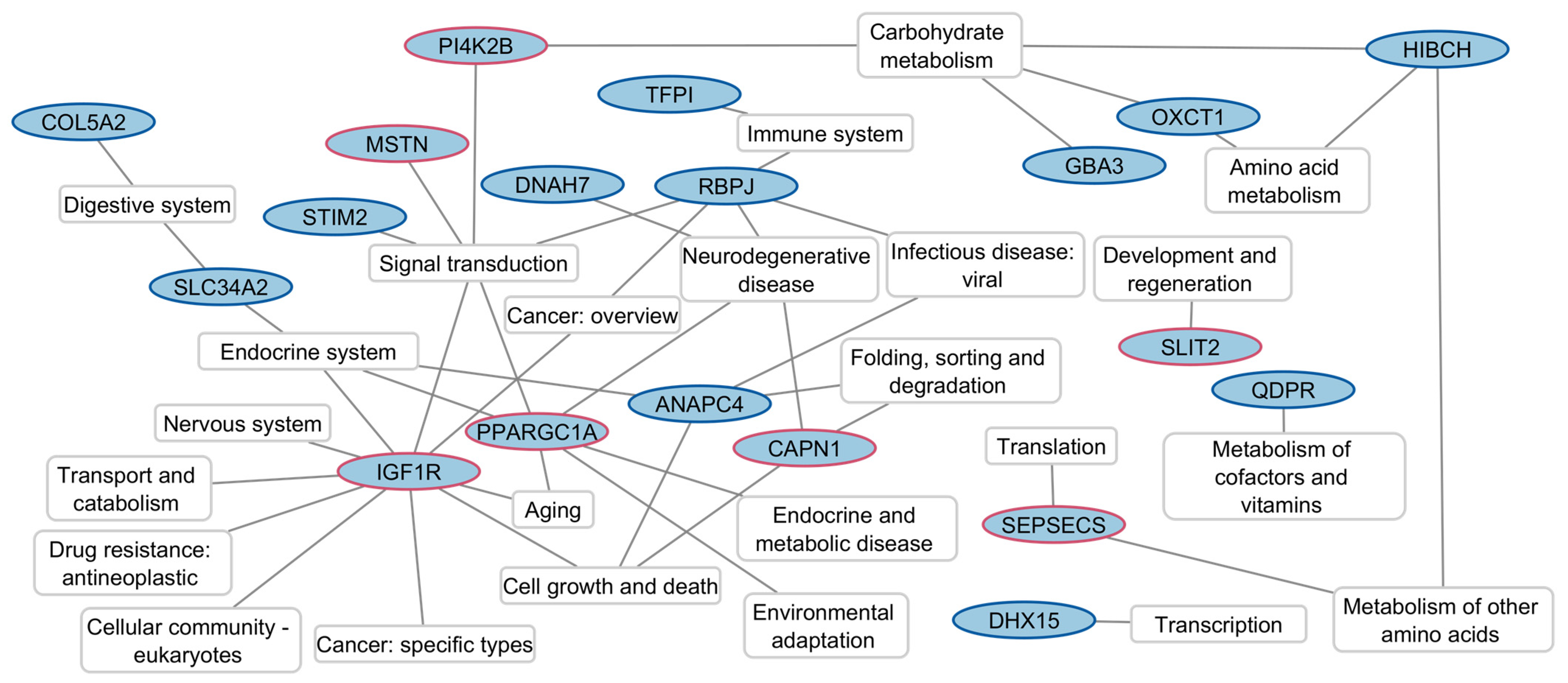 Animals 14 02441 g006