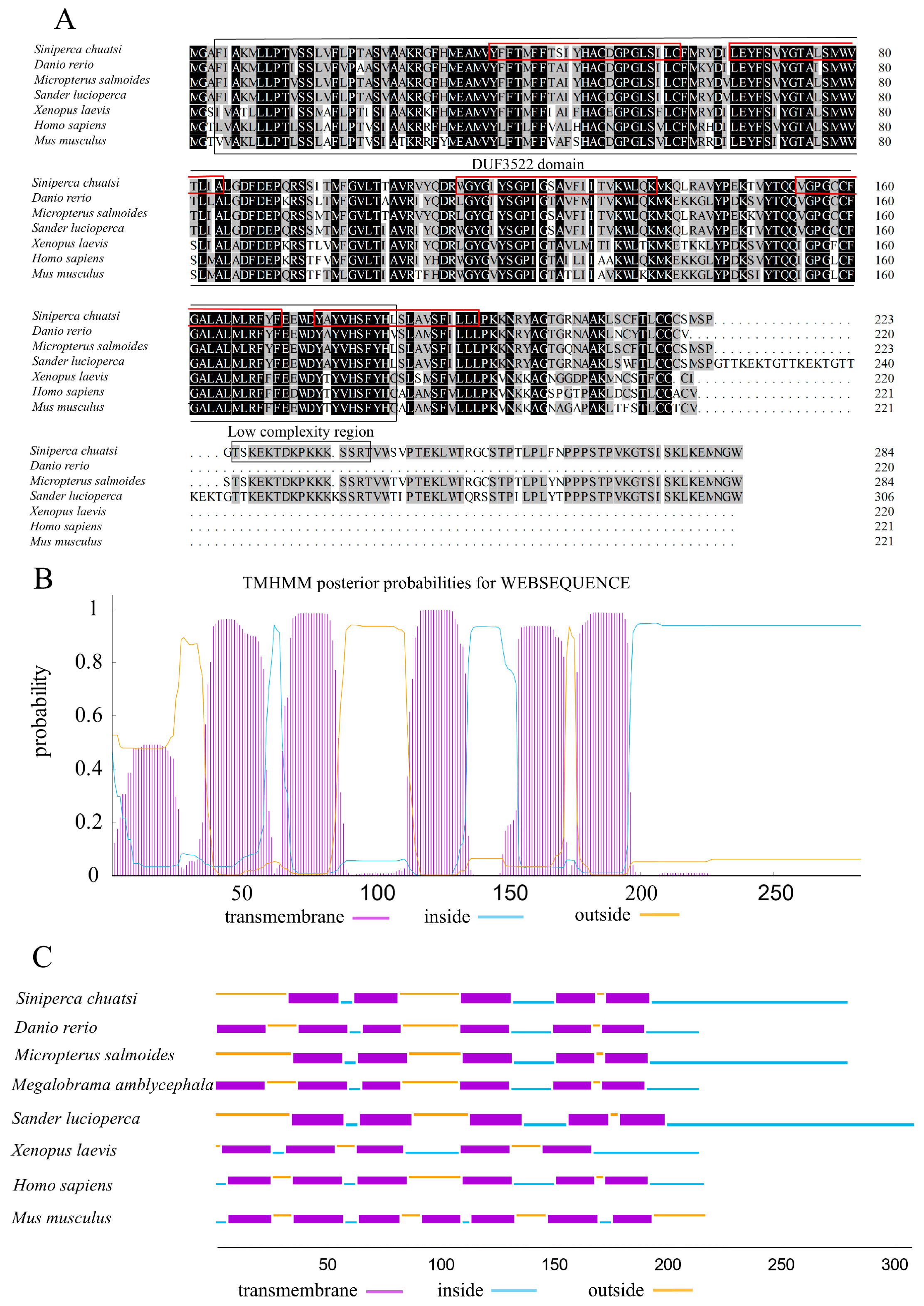 Animals 14 02448 g001
