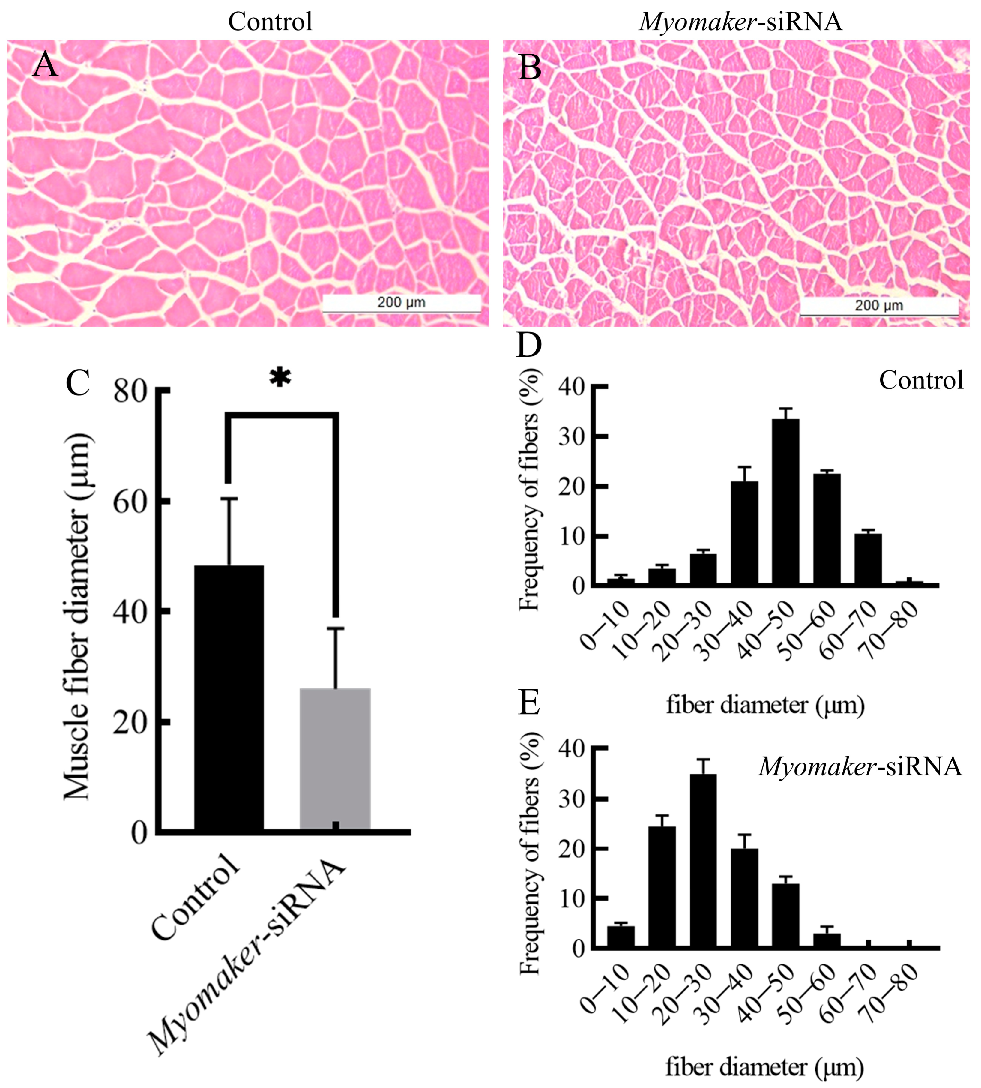 Animals 14 02448 g004