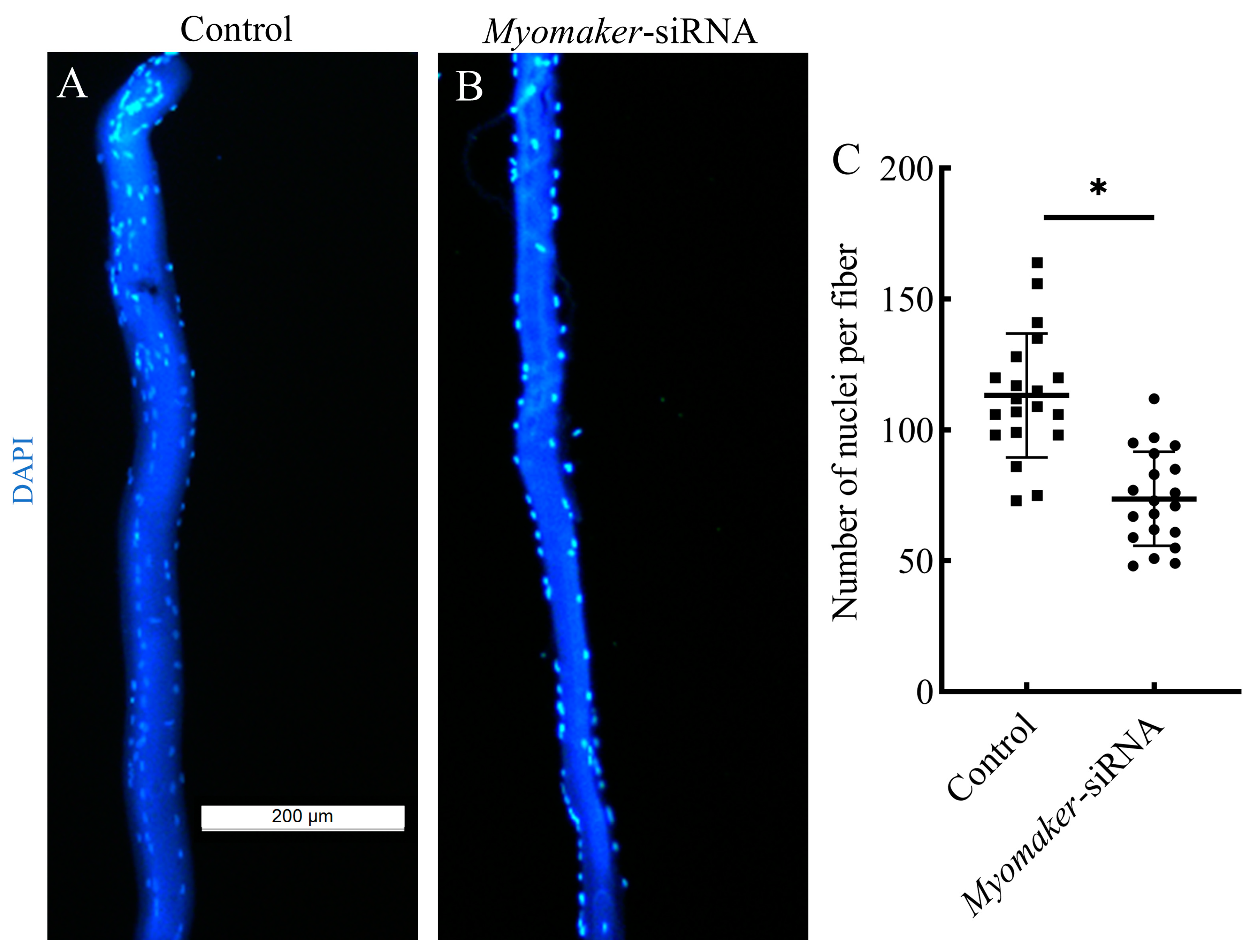 Animals 14 02448 g005