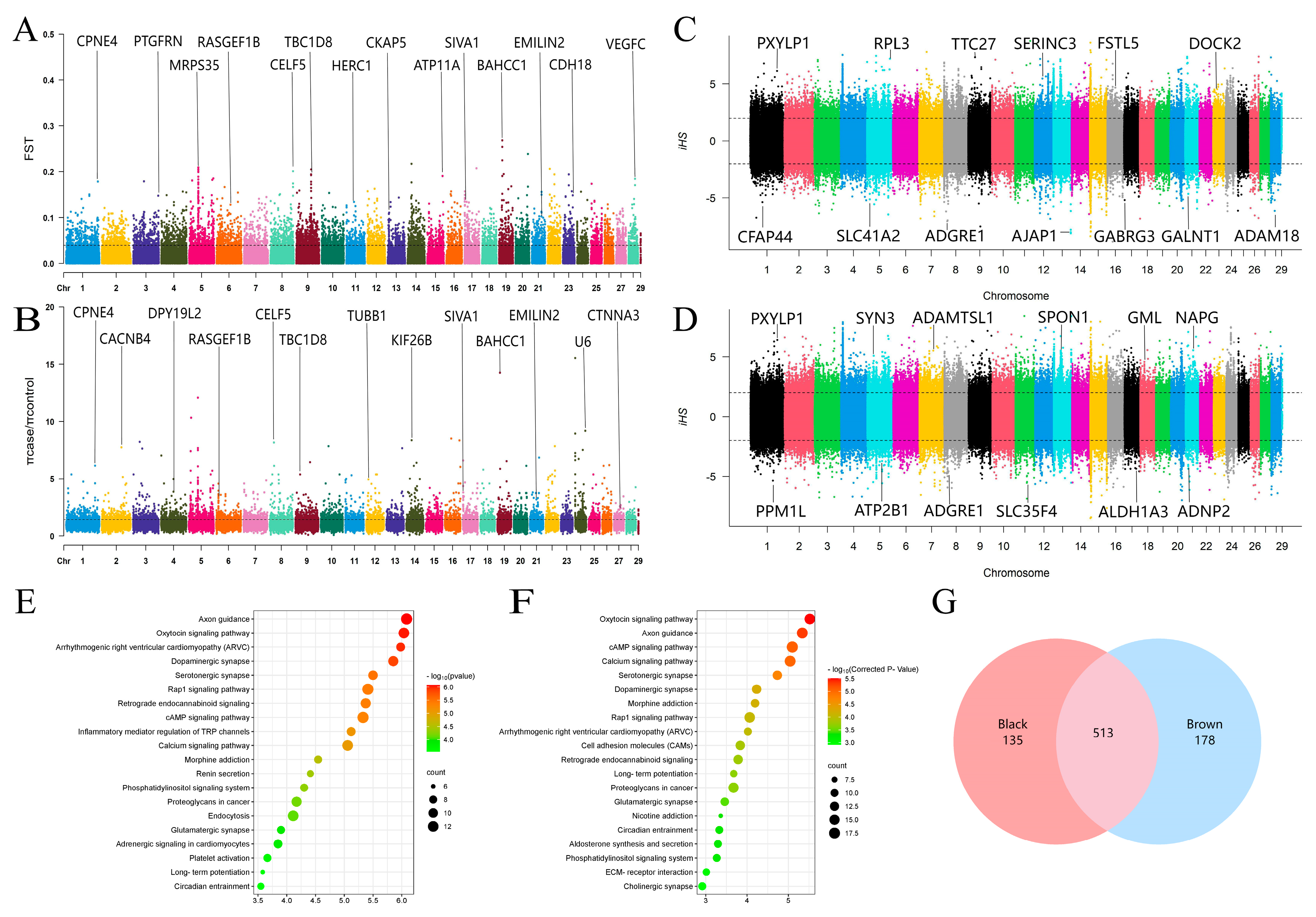 Animals 14 02458 g002