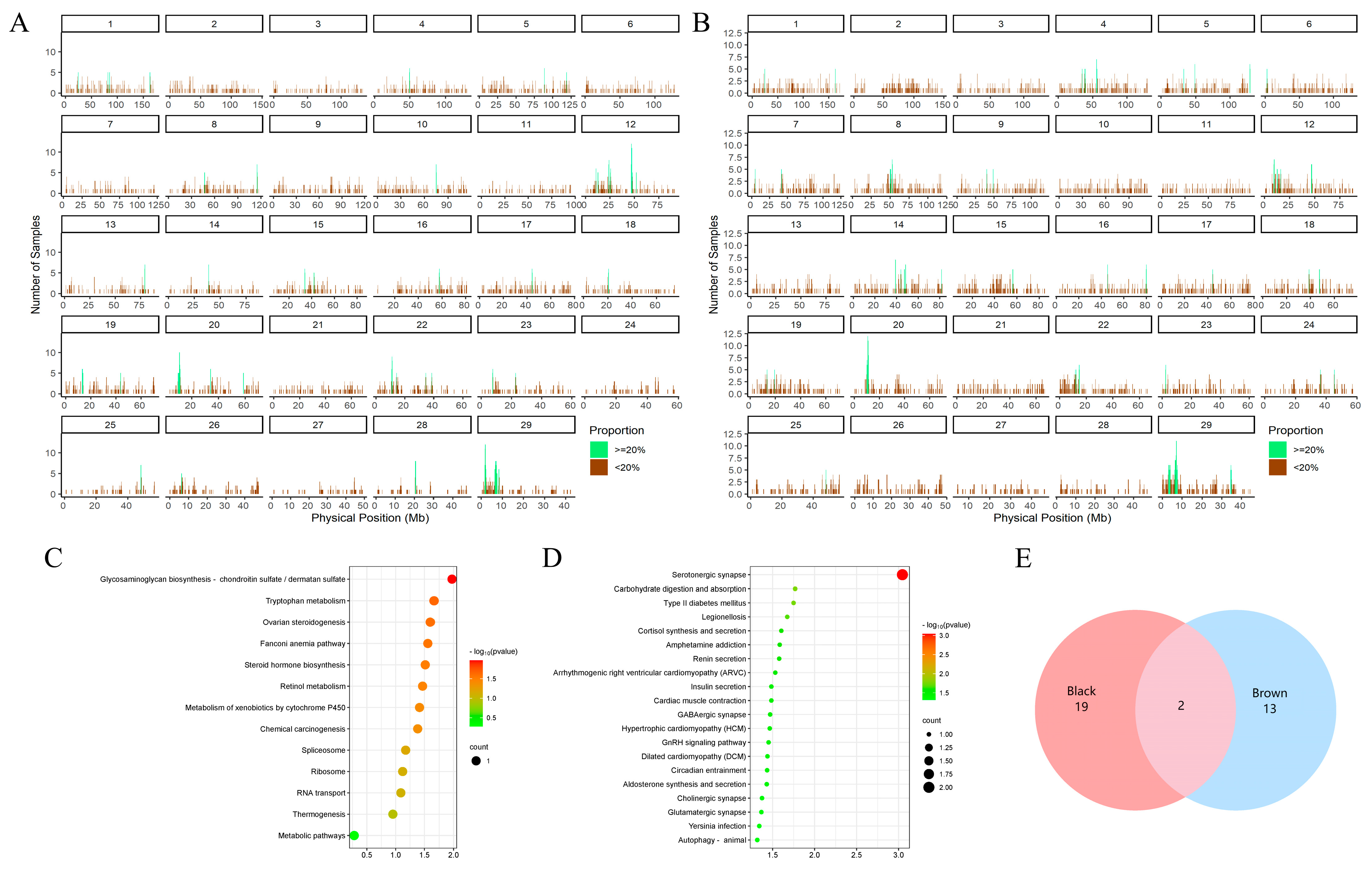 Animals 14 02458 g003