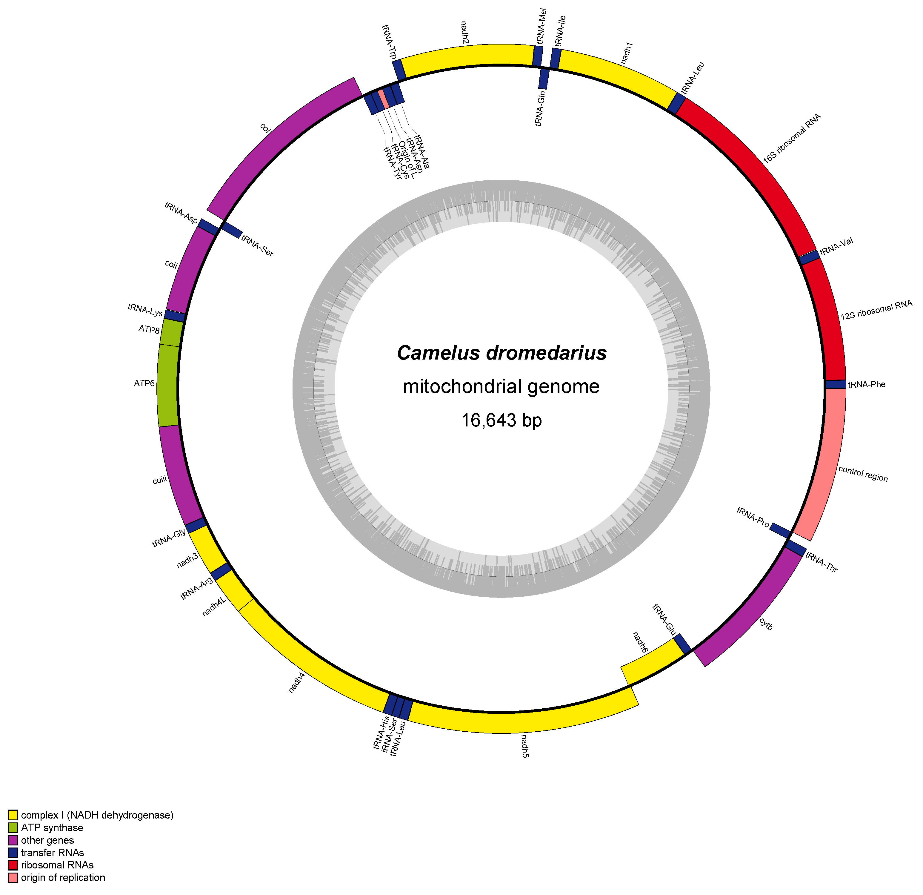 Animals 14 02460 g002