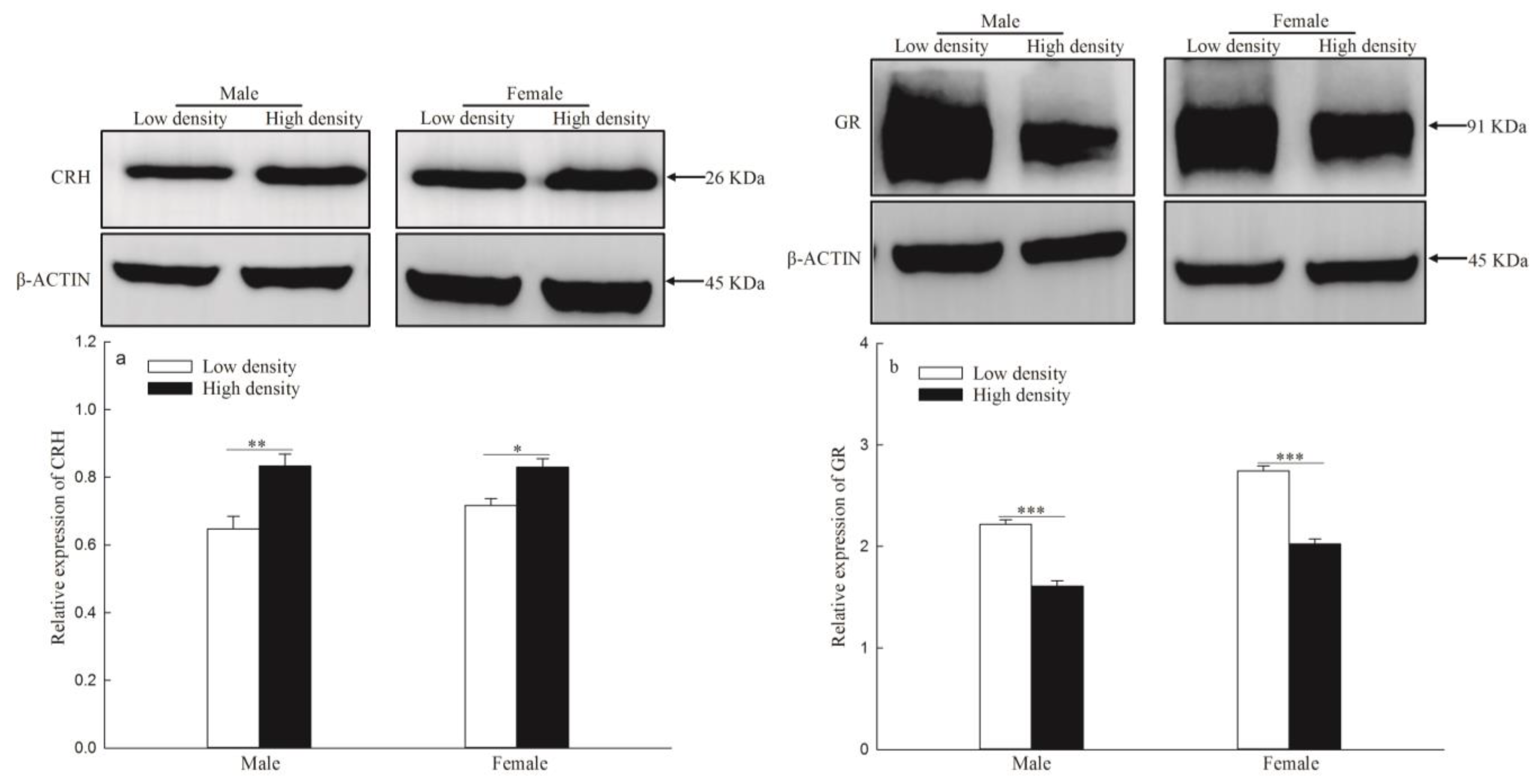 Animals 14 02467 g005