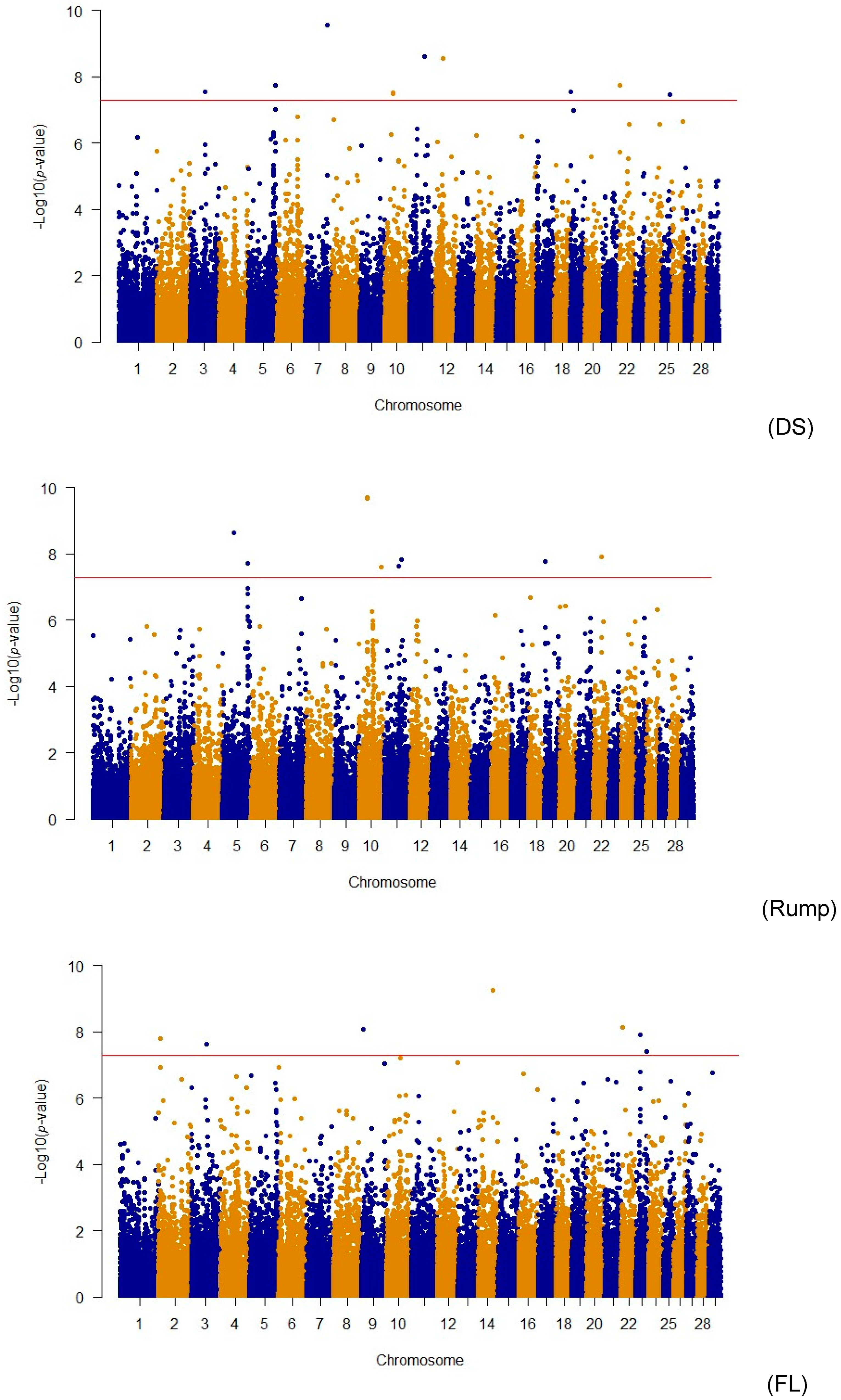 Animals 14 02472 g001b