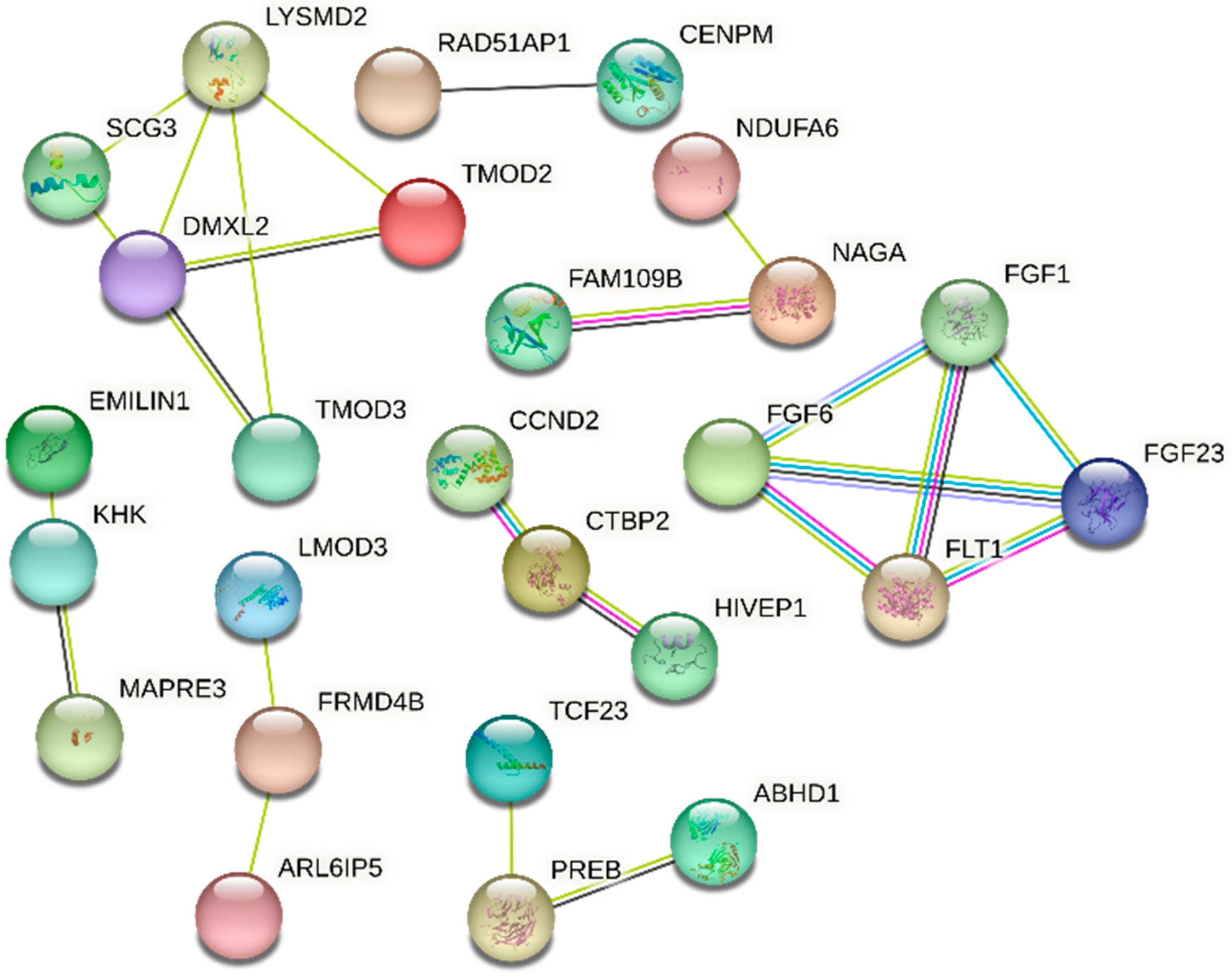 Animals 14 02472 g002