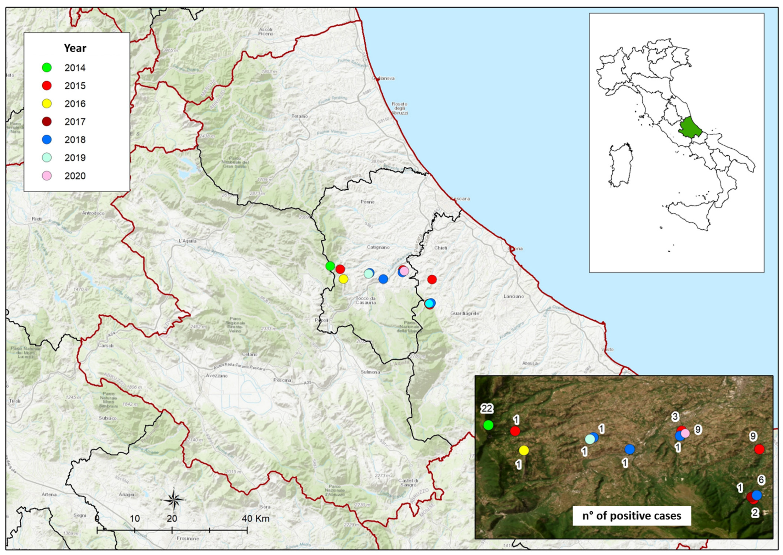 Animals 14 02483 g001