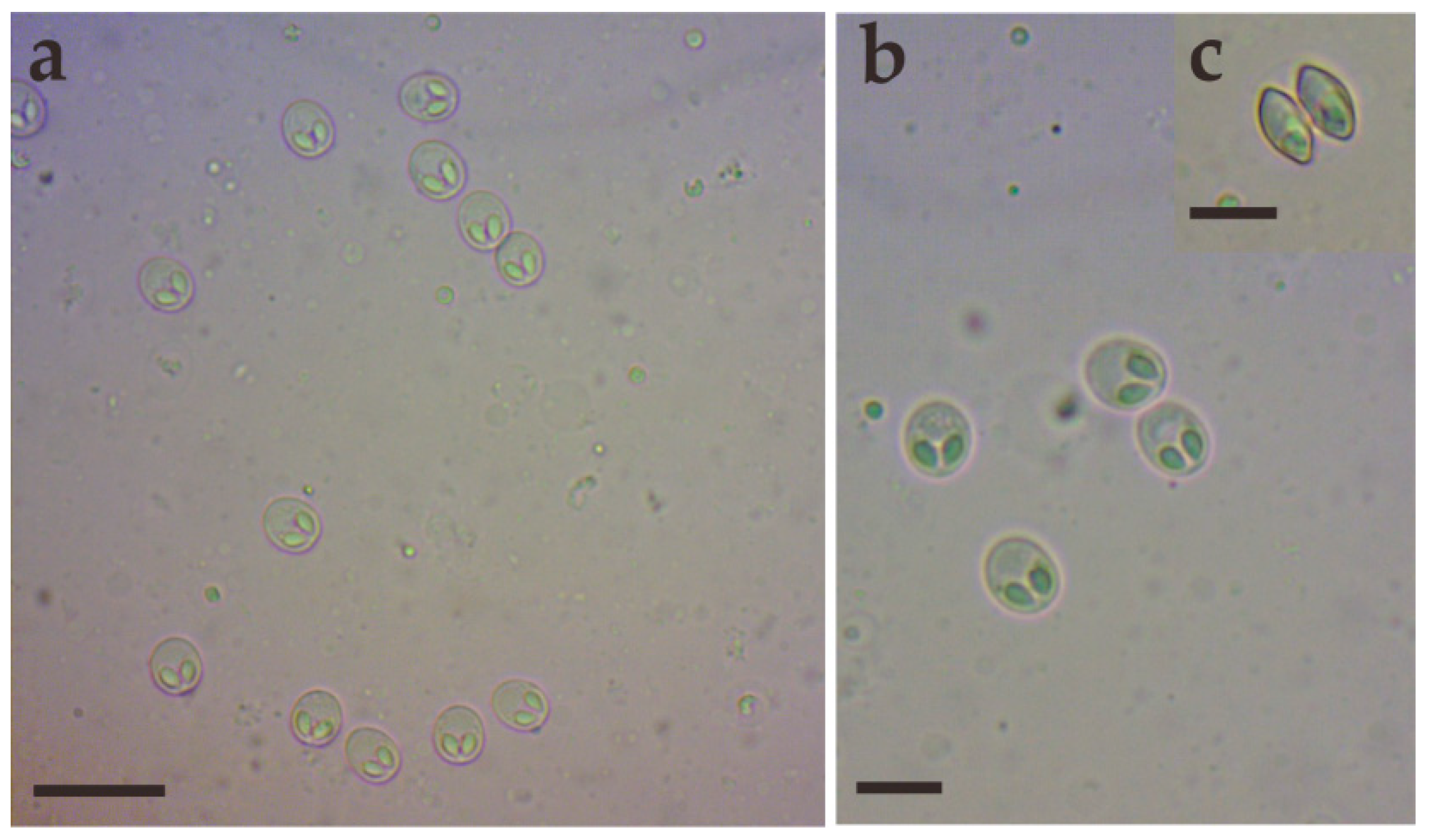 Animals 14 02487 g002