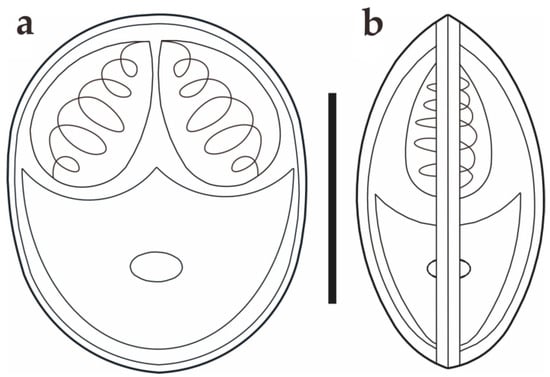 Animals 14 02487 g003