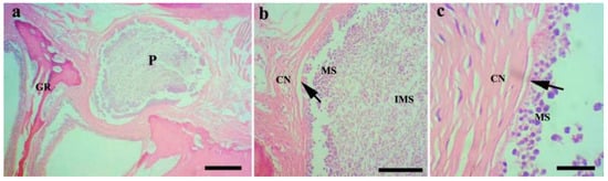 Animals 14 02487 g004