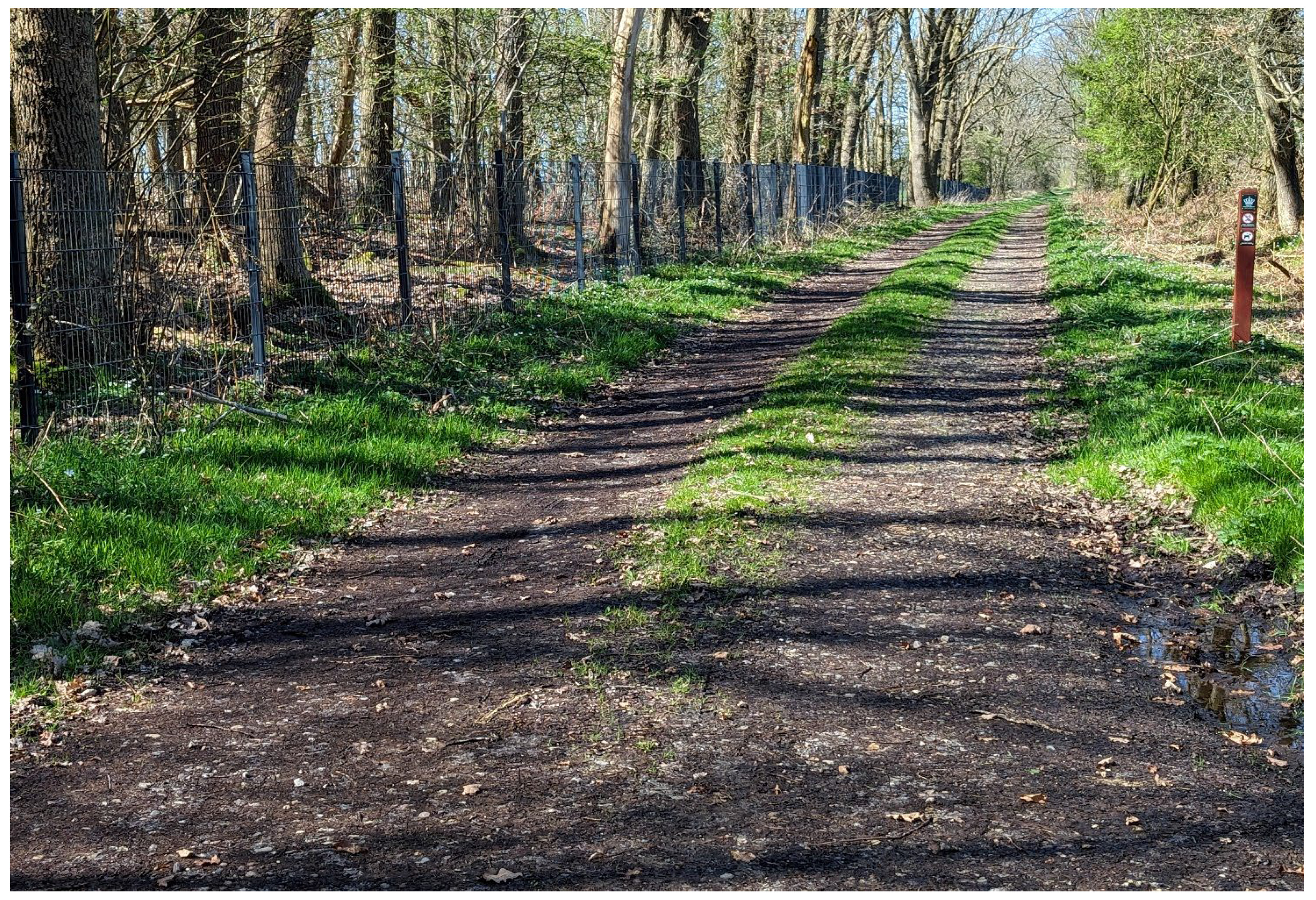 Animals 14 02491 g001