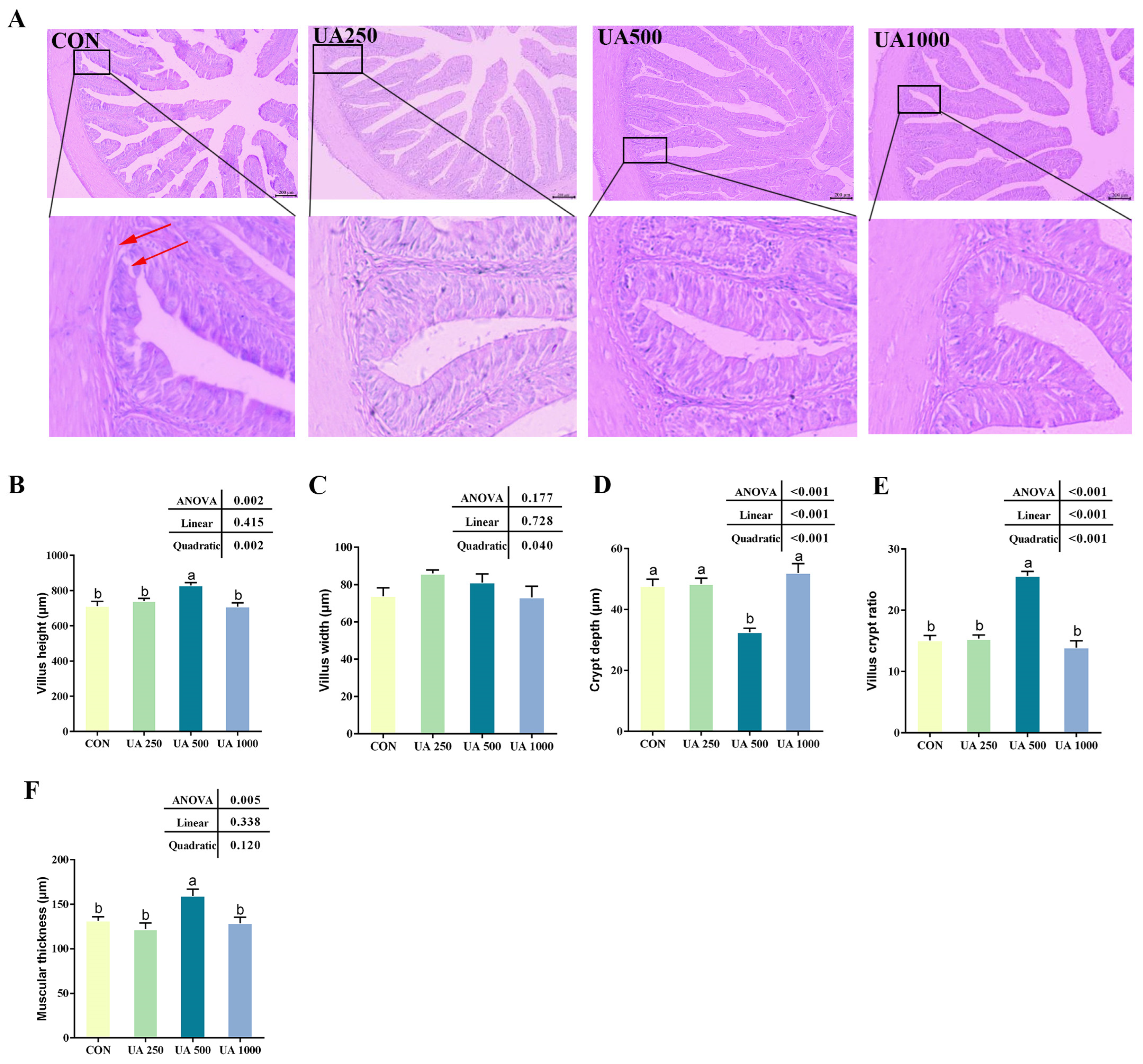 Animals 14 02492 g003