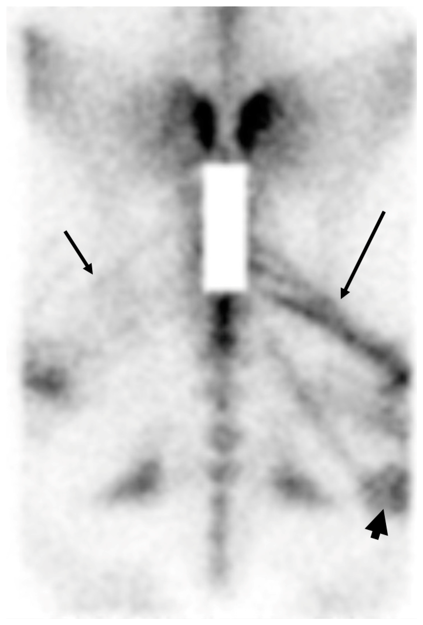 Animals 14 02499 g002