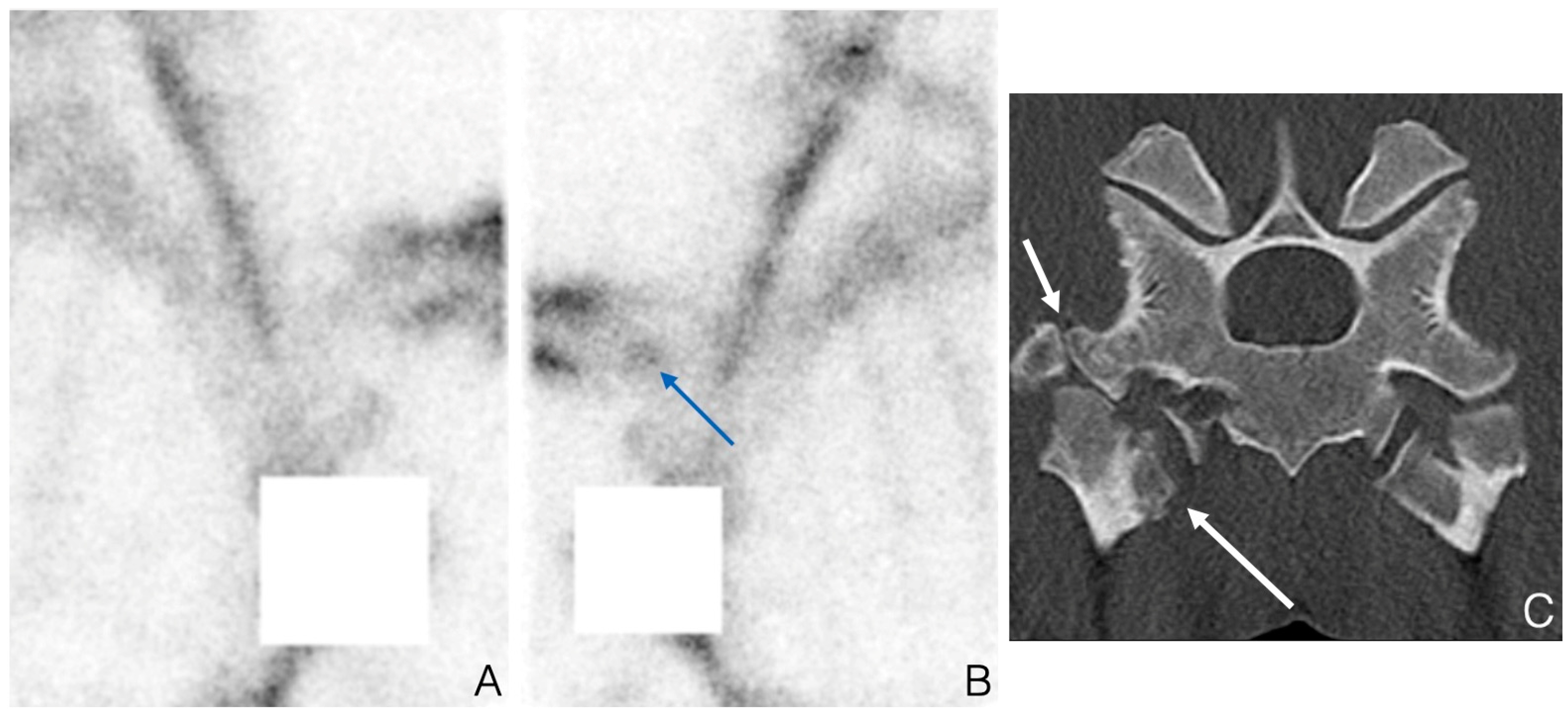 Animals 14 02499 g003