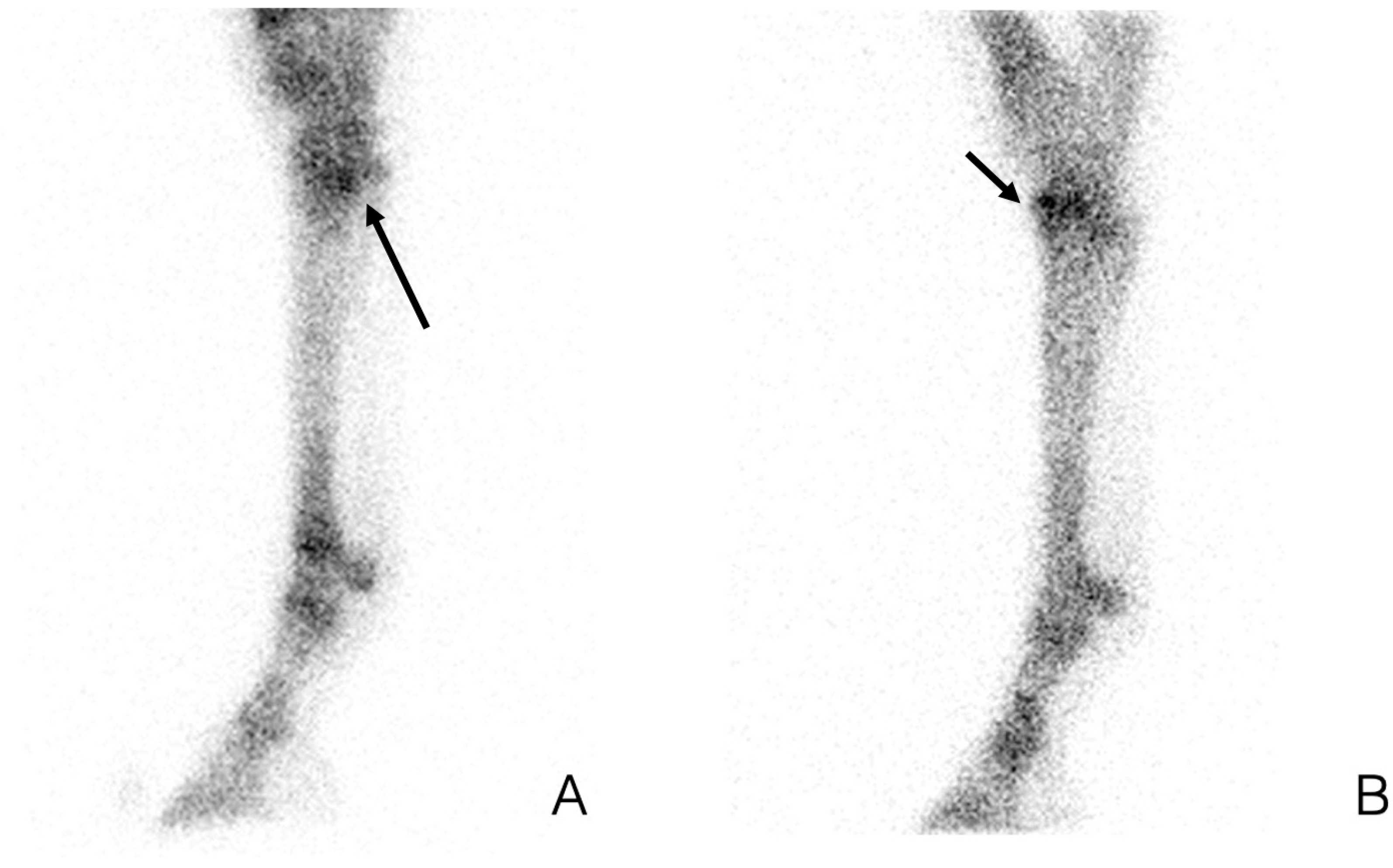 Animals 14 02499 g004