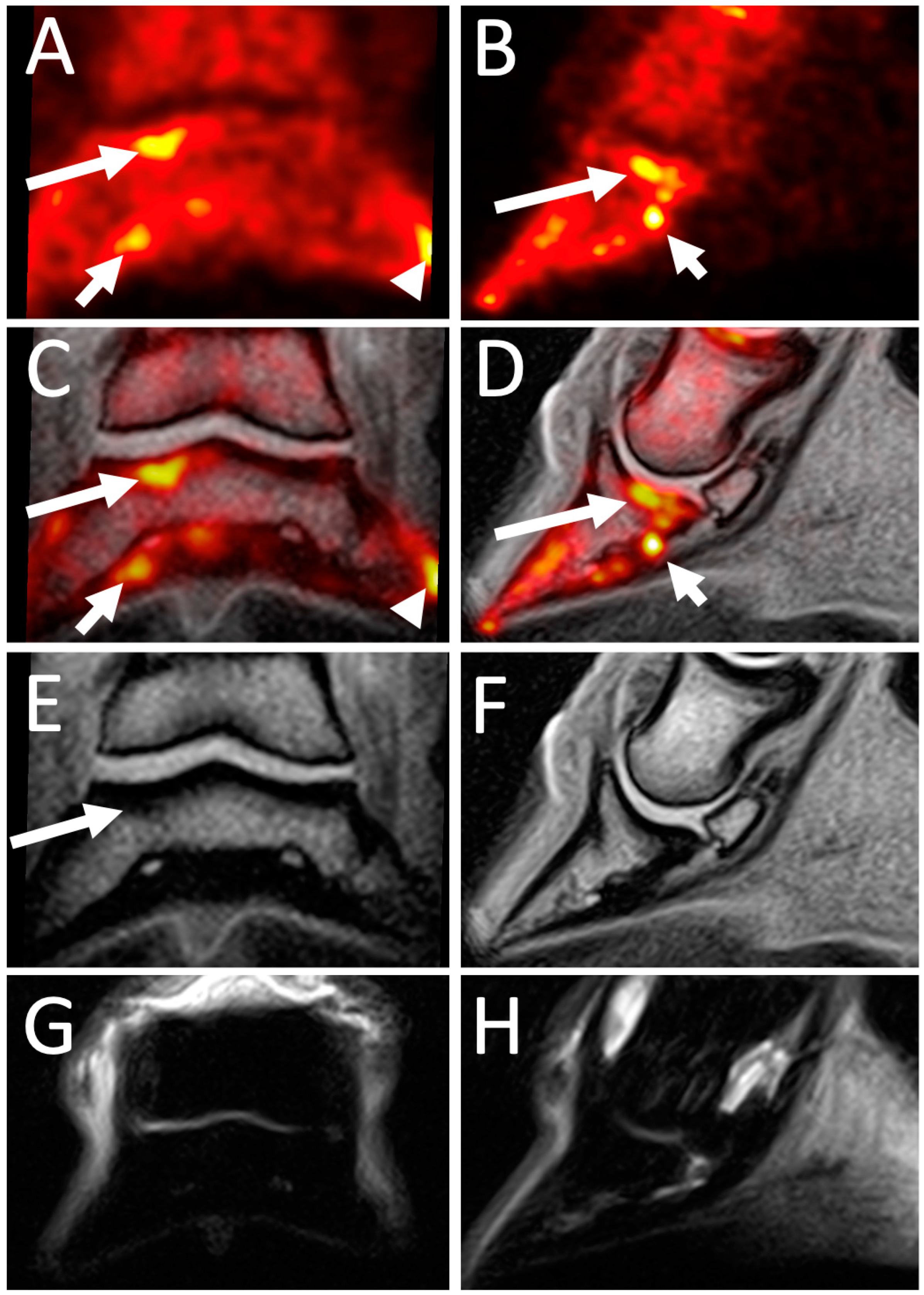 Animals 14 02499 g007