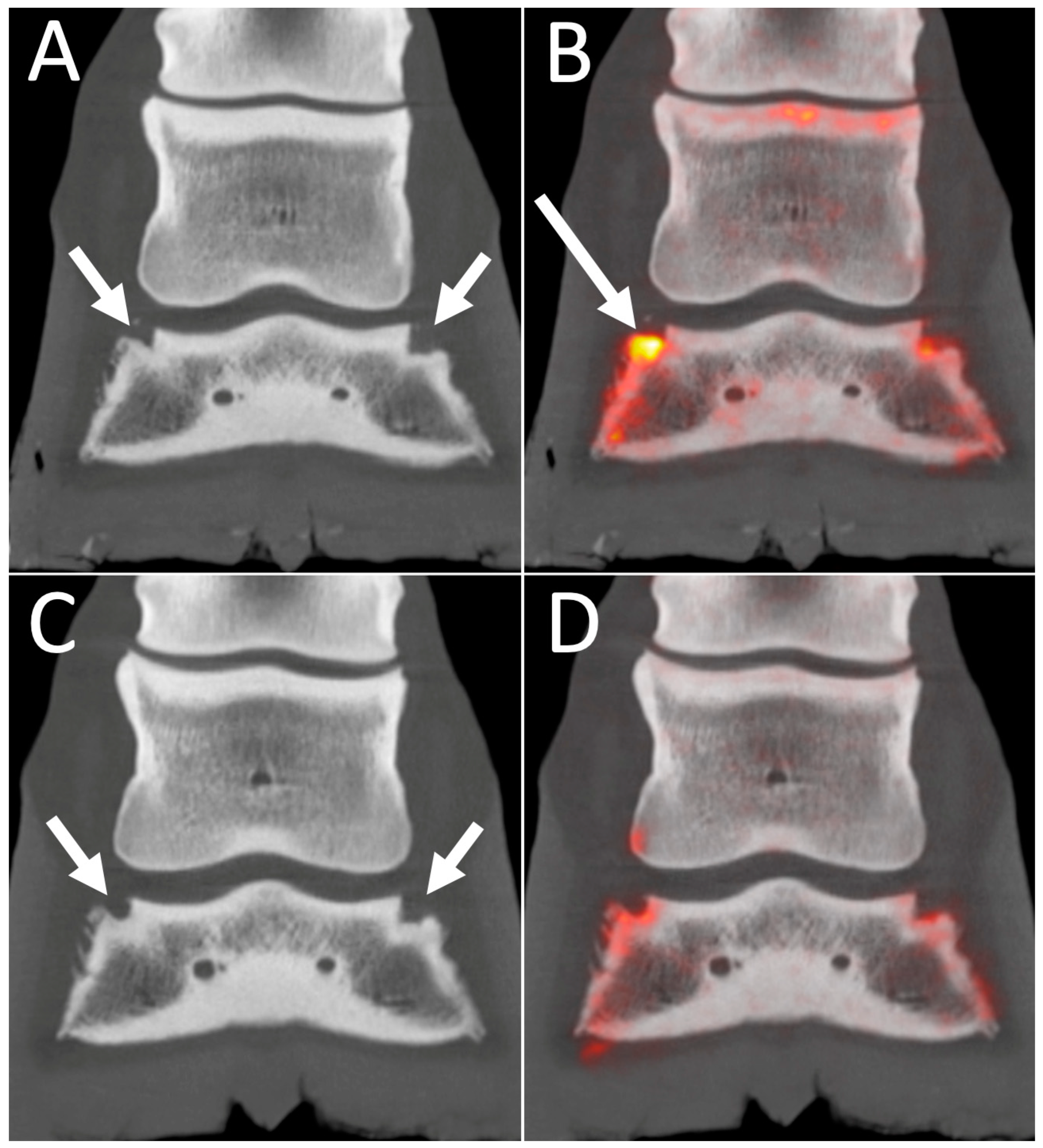 Animals 14 02499 g008