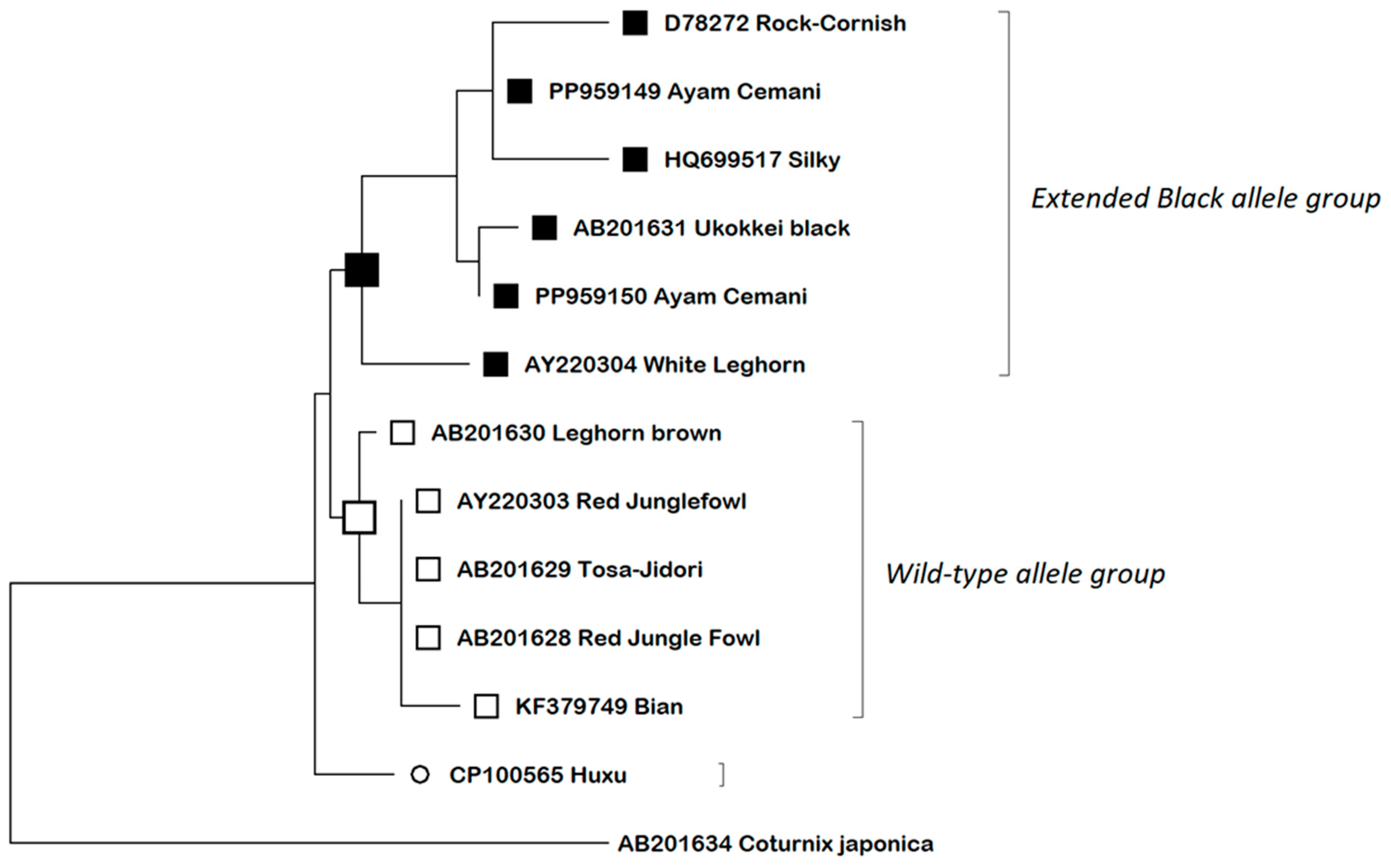 Animals 14 02507 g003