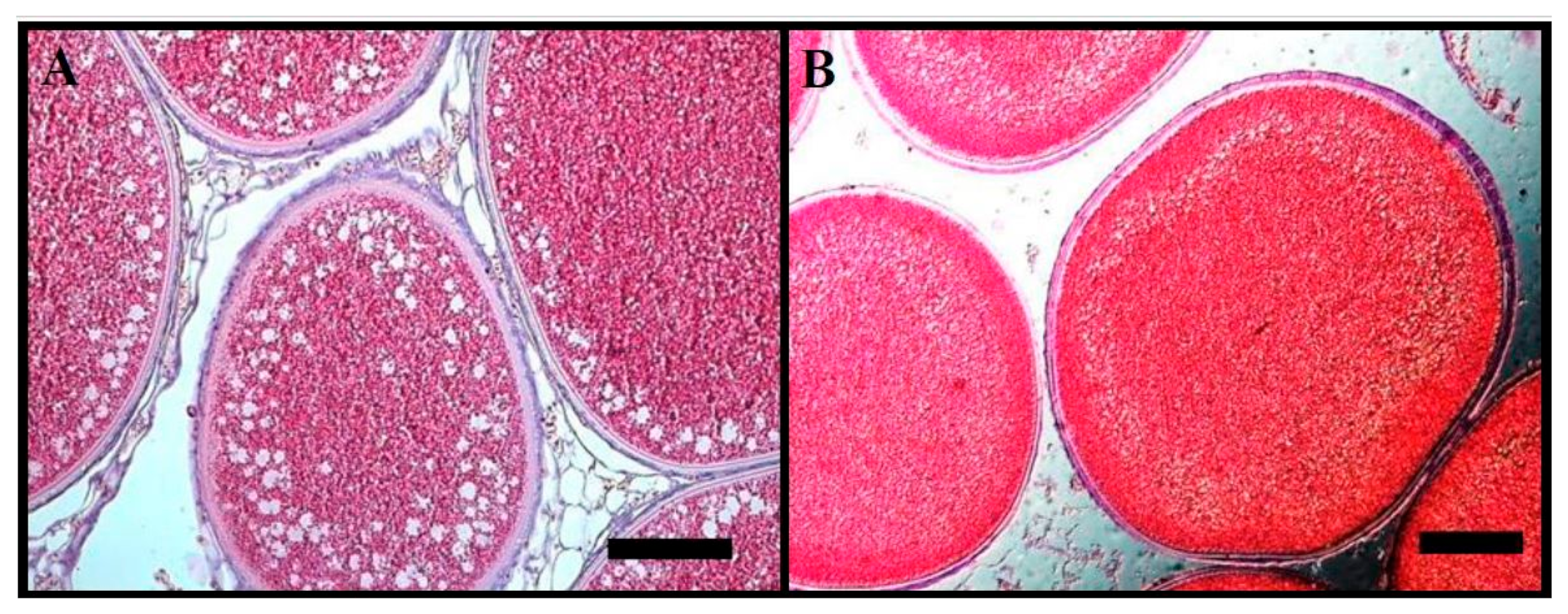 Animals 14 02516 g002