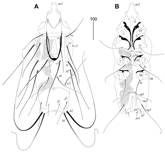 Animals 14 02517 g001