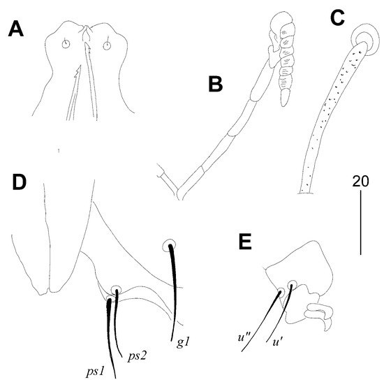 Animals 14 02517 g002