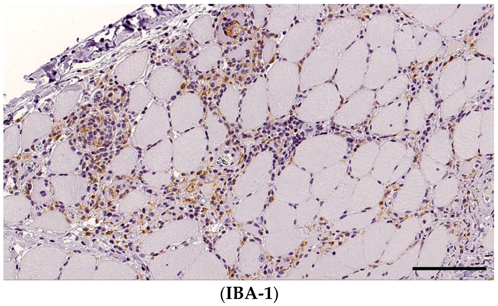 Animals 14 02519 g006